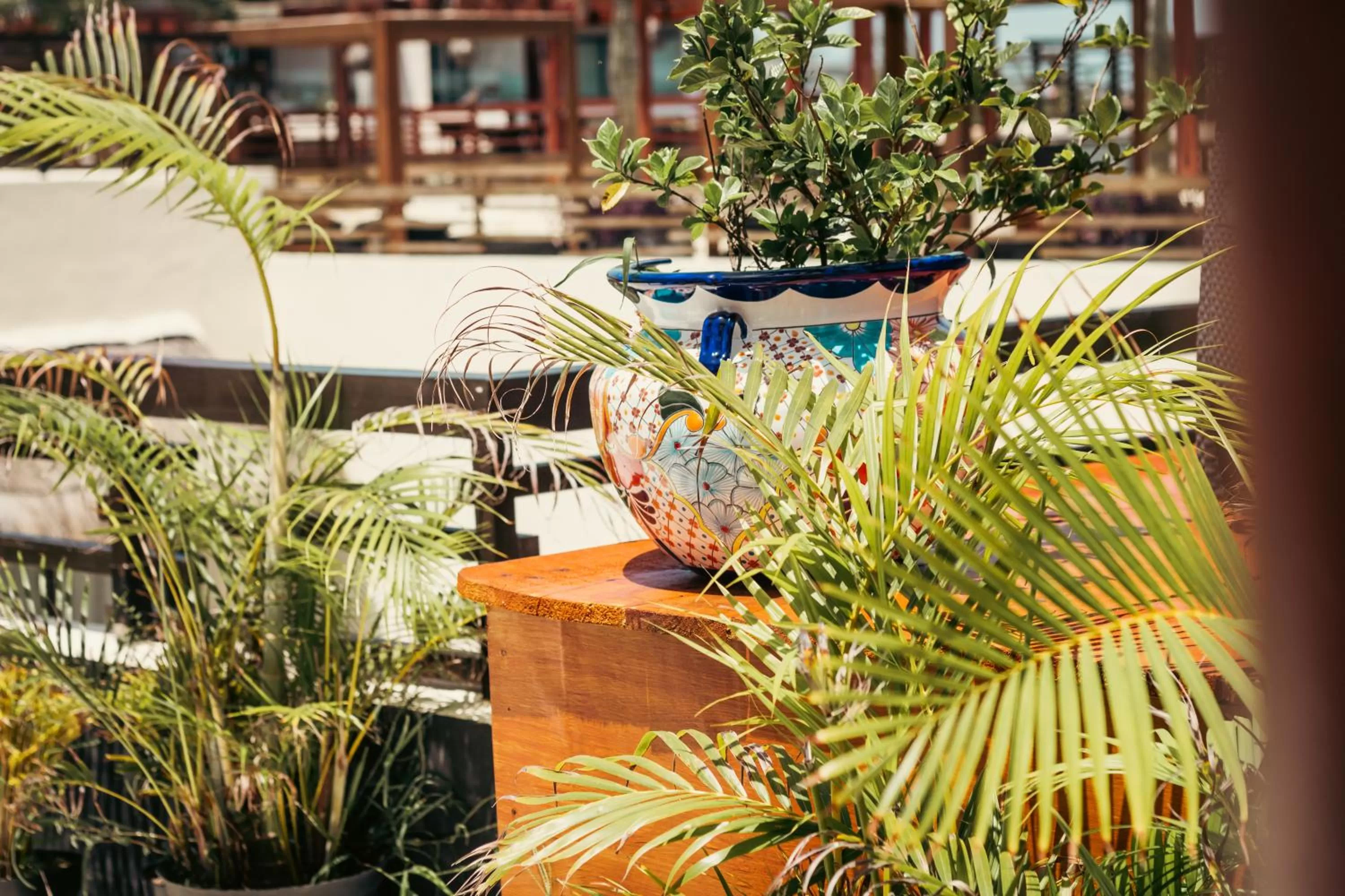 Swimming Pool in Aldea Thai