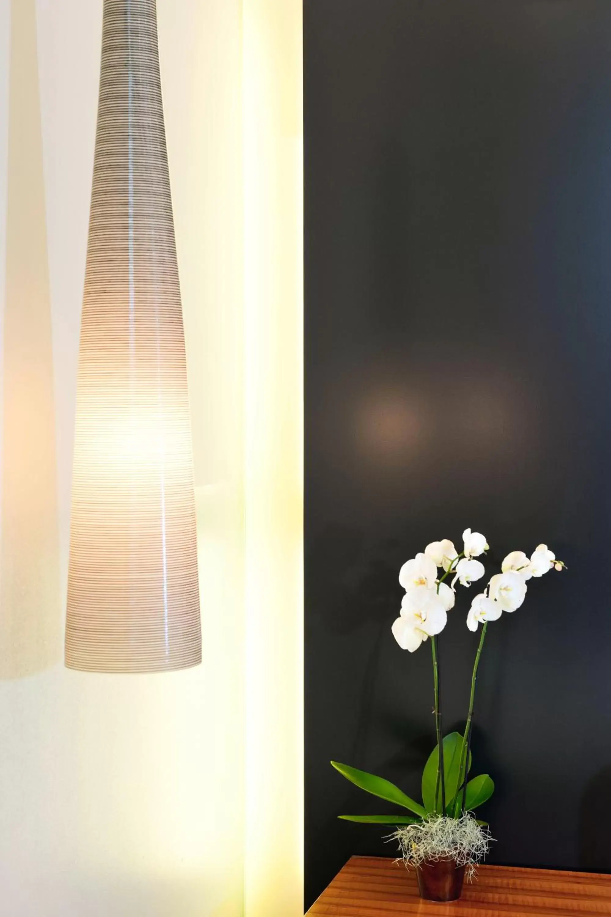 Standard Double Room - single occupancy - Novum Spa in Limmathof Baden - Historisches Haus & Spa Standard Double Room - single occupancy - Novum Spa in Limmathof Baden - Historisches Haus & Spa