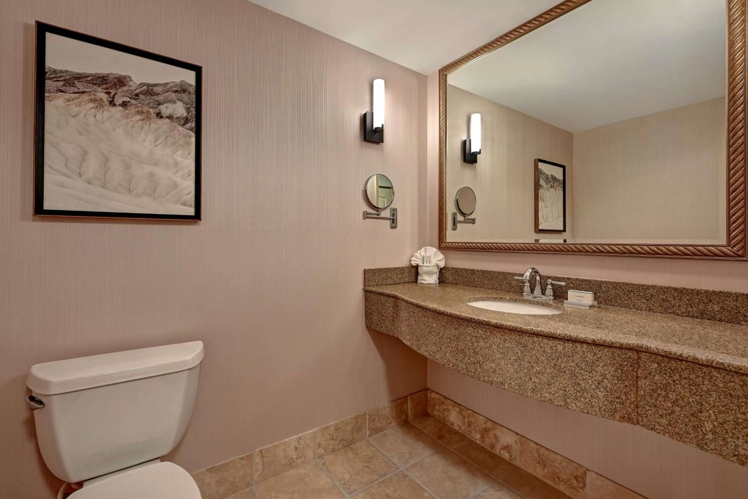 Bathroom in Hilton Garden Inn Boise / Eagle
