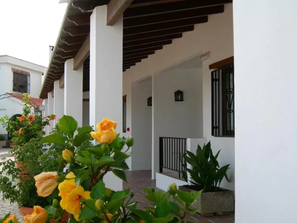 Balcony/Terrace, Property Building in Hotel Alcadima