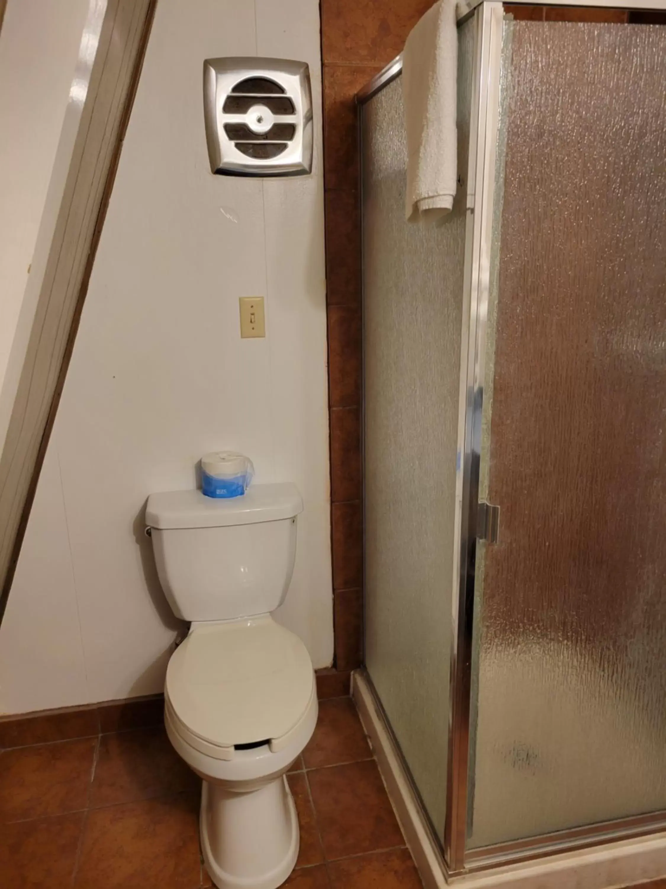 Shower, Bathroom in The Ranch Motel