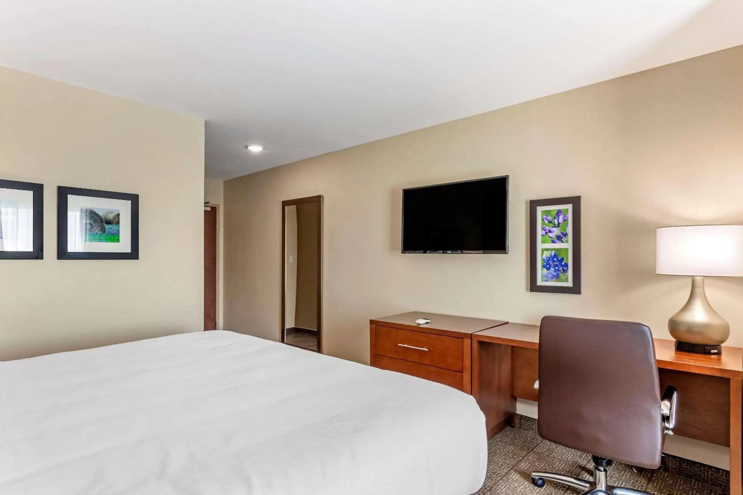 Photo of the whole room, TV/Entertainment Center in Comfort Inn & Suites