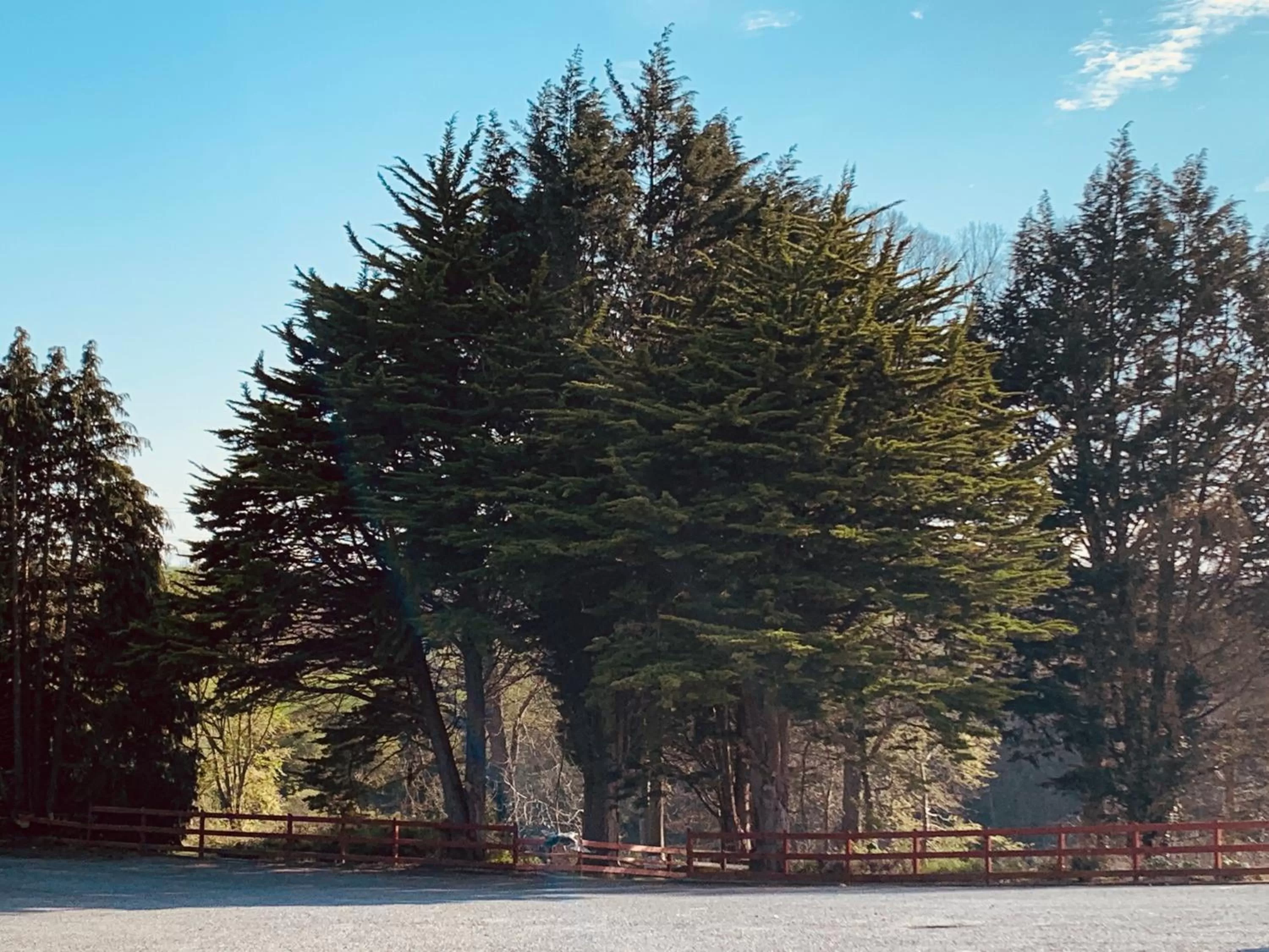 Property building in The Bannville Hotel