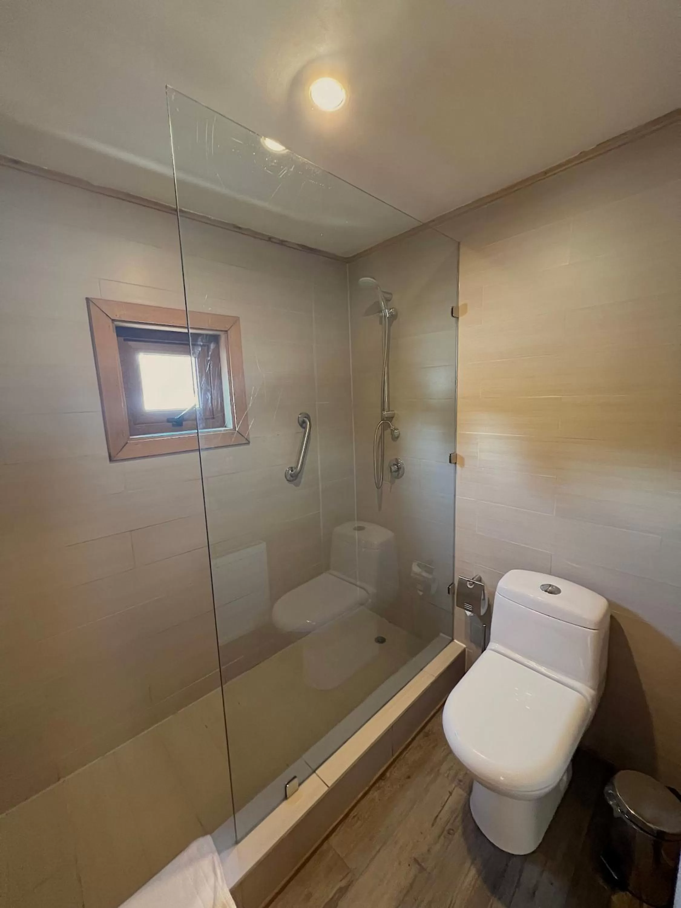 Shower, Bathroom in Palafito 1326 Hotel Boutique Chiloé