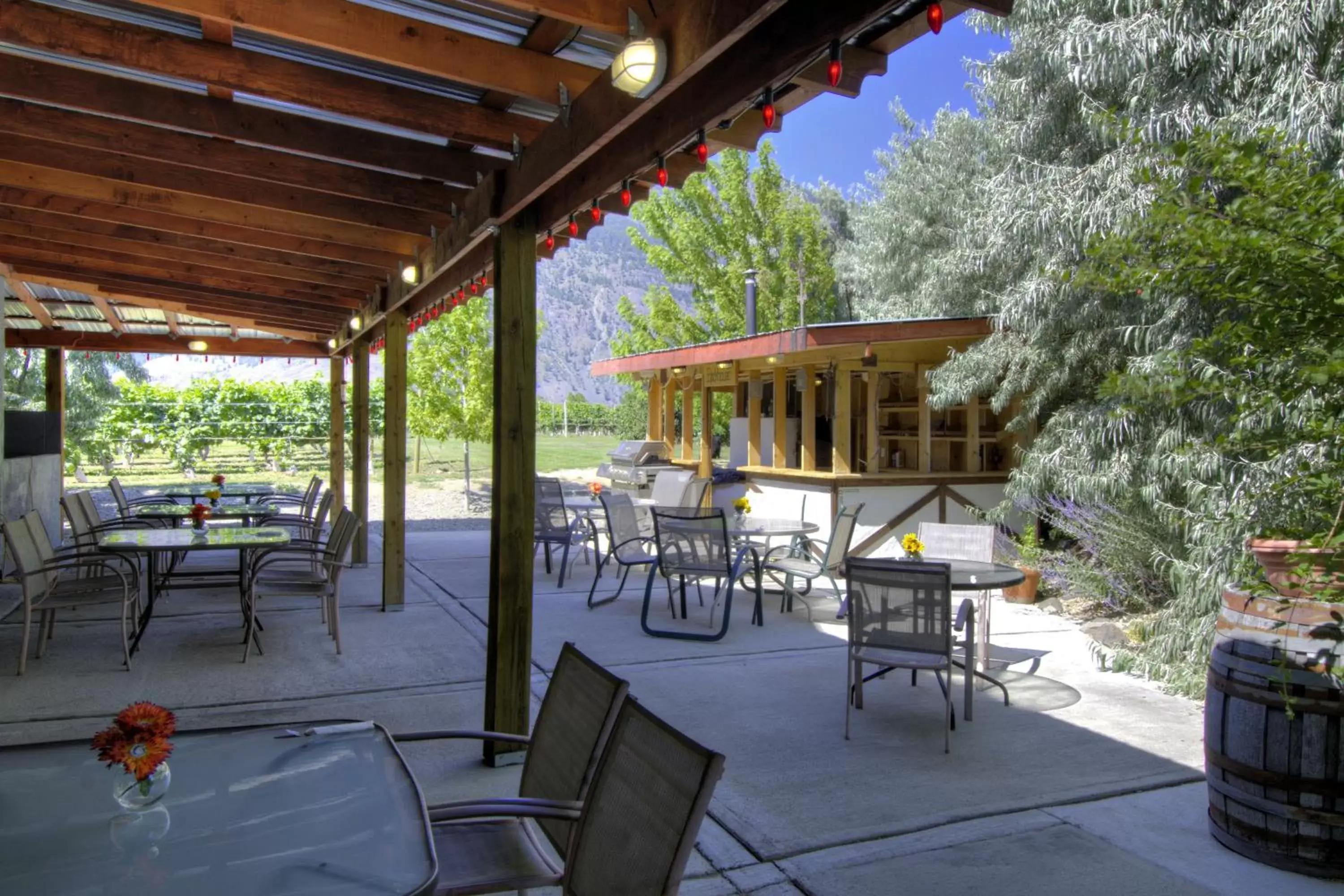 Patio, Restaurant/Places to Eat in Crowsnest Vineyards Guesthouse