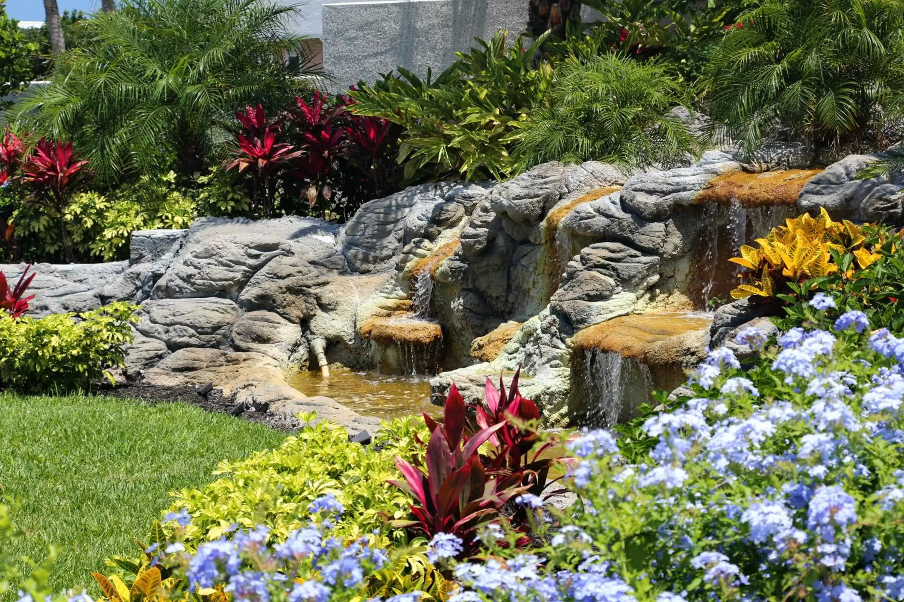 Garden in La Fiesta Ocean Inn & Suites