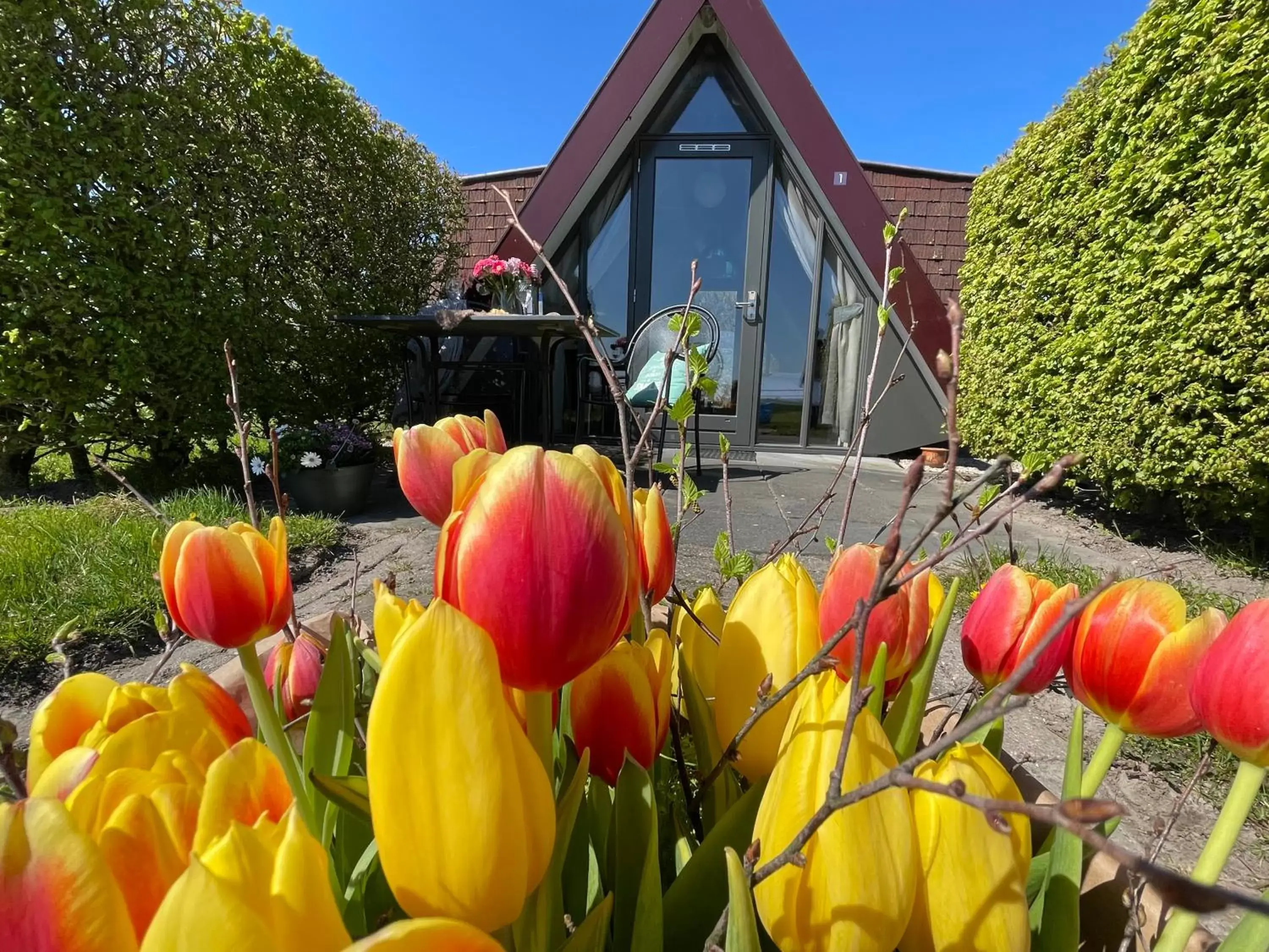 Property Building in Hotelhuisjes Andijk