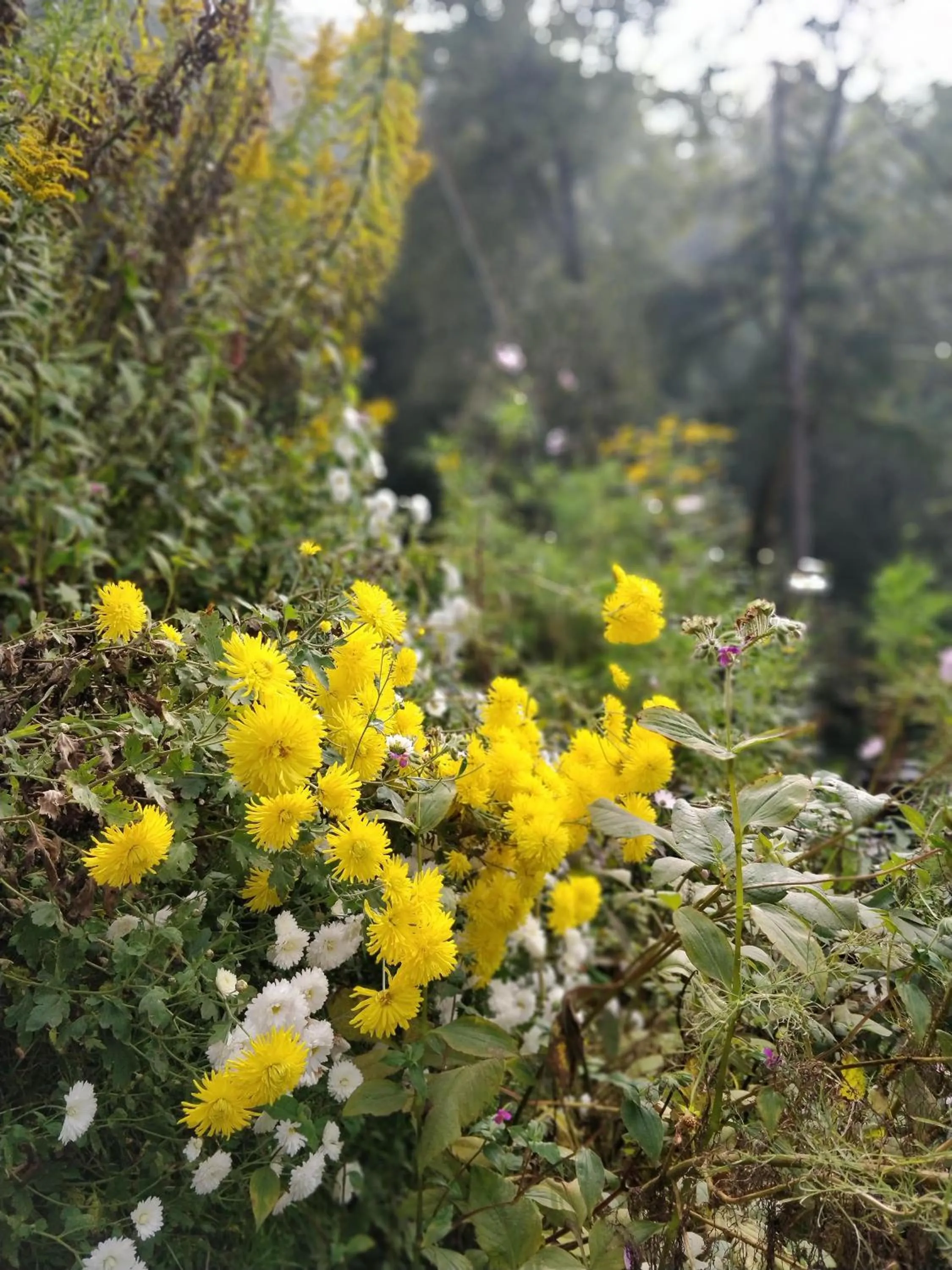 Natural landscape in Hotel SunGrace