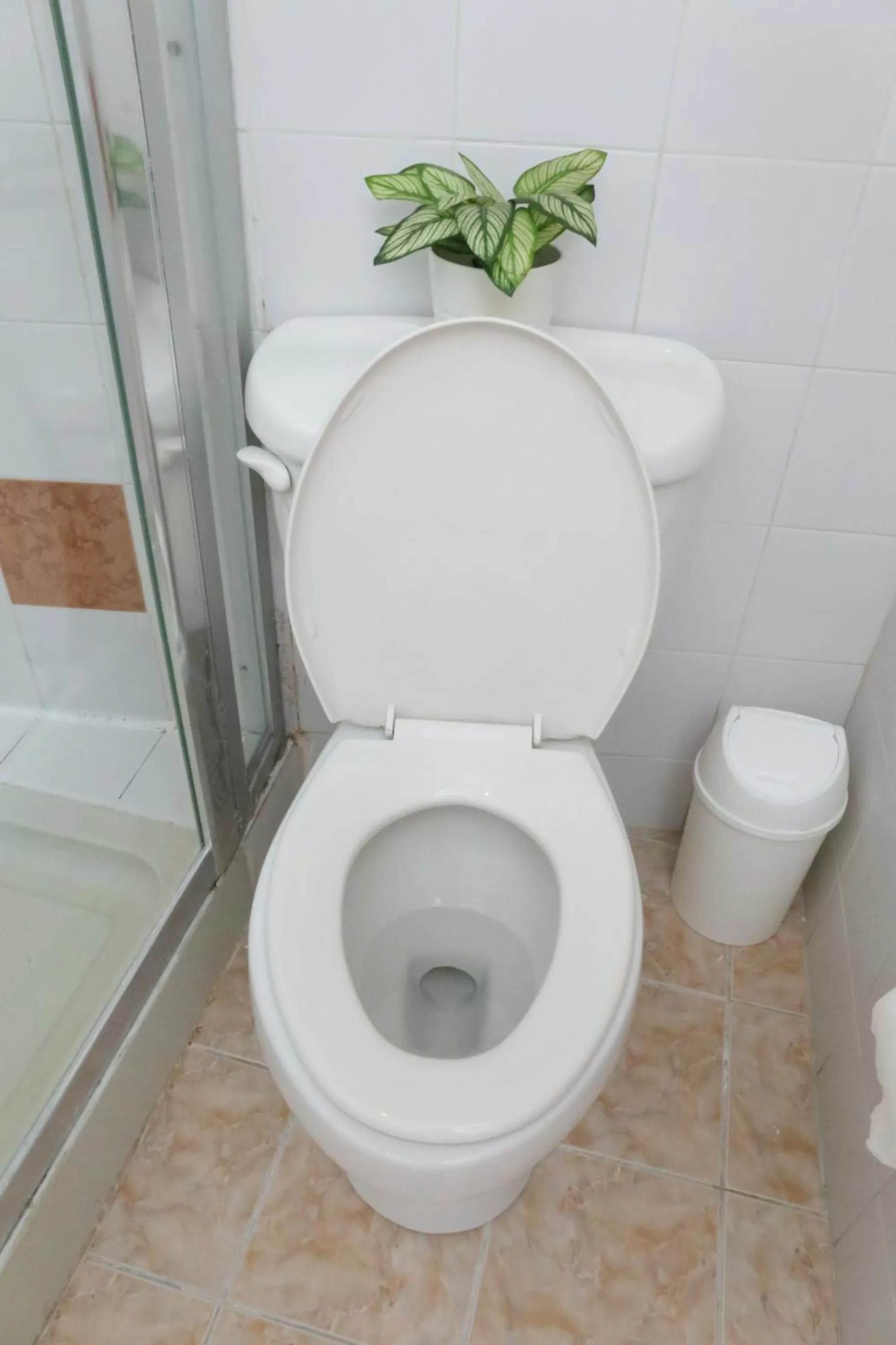 Balcony/Terrace in Hotel Aluge