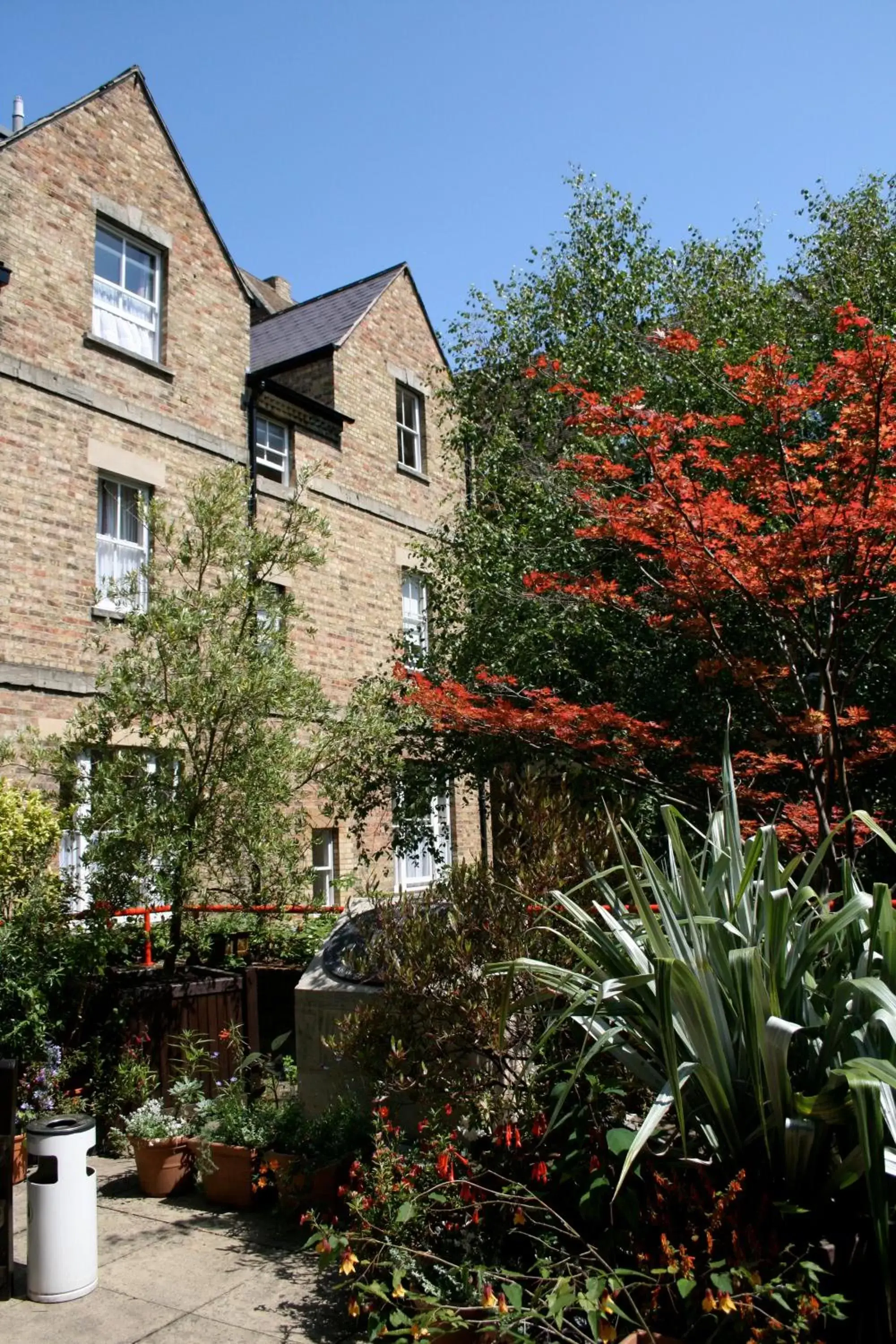 Garden, Property Building in Rewley House University of Oxford