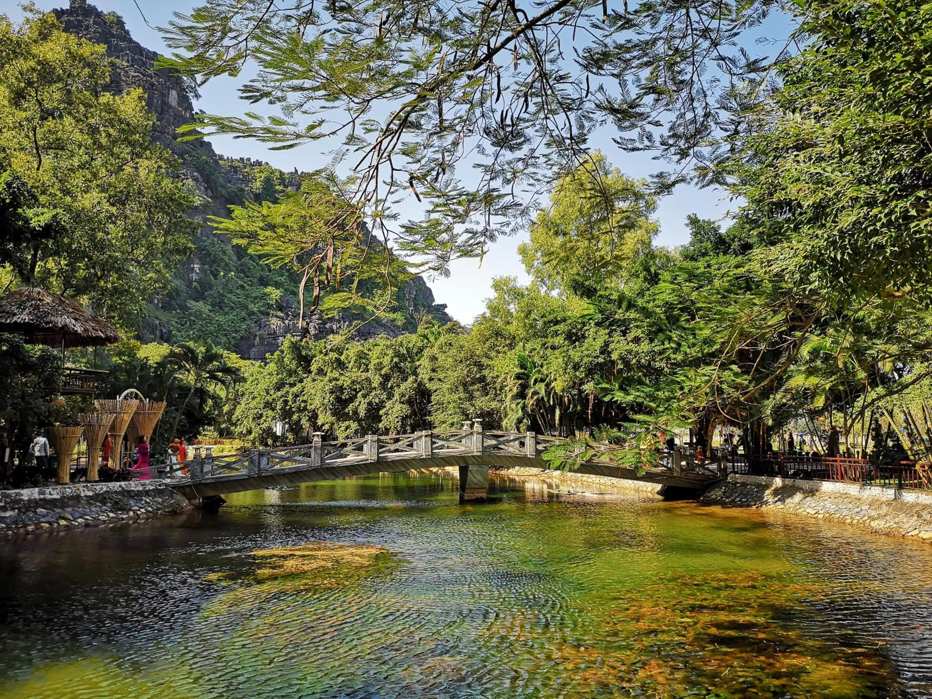 Natural landscape in Mua Caves Ecolodge (Hang Mua)