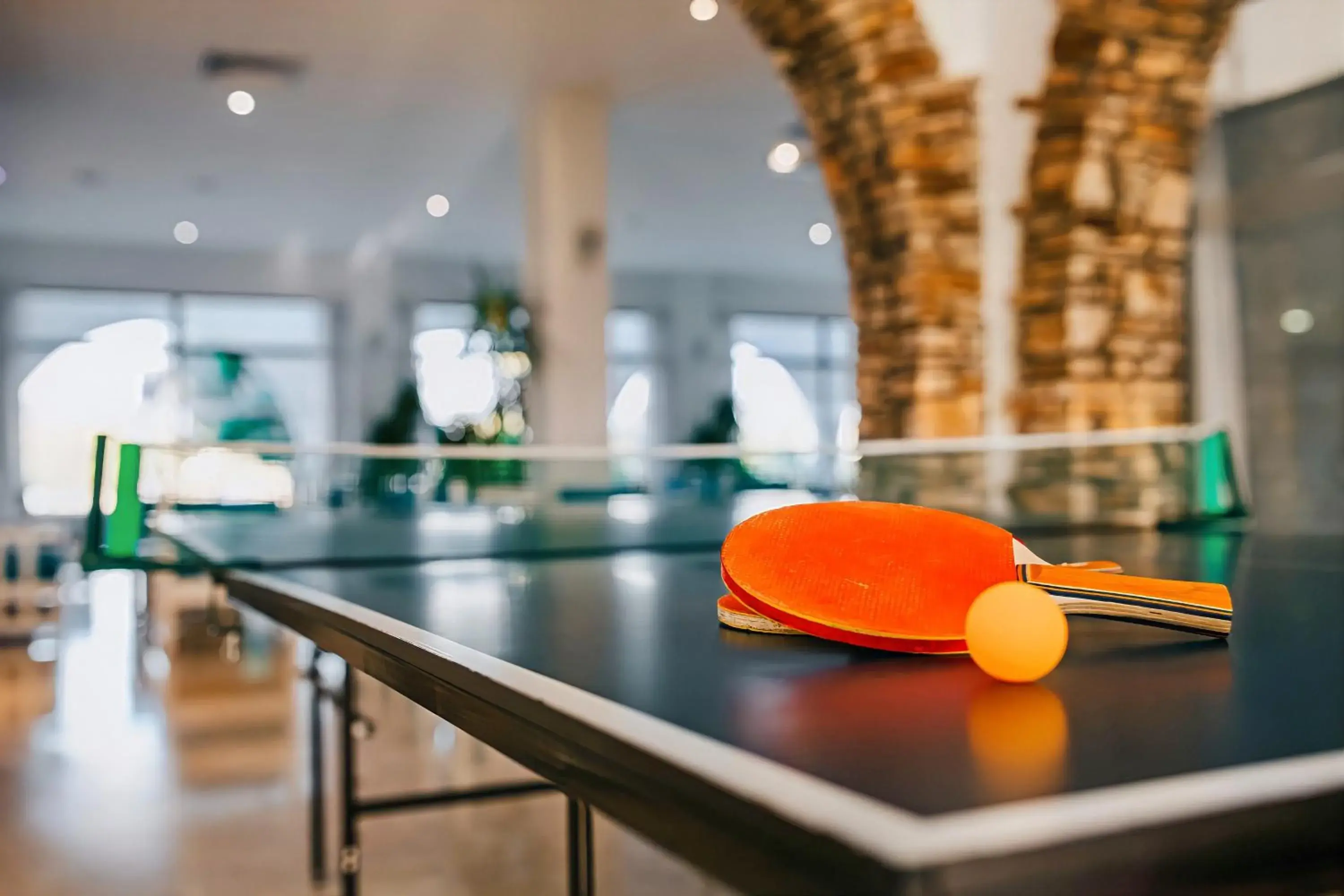 Table tennis in Sveltos Hotel