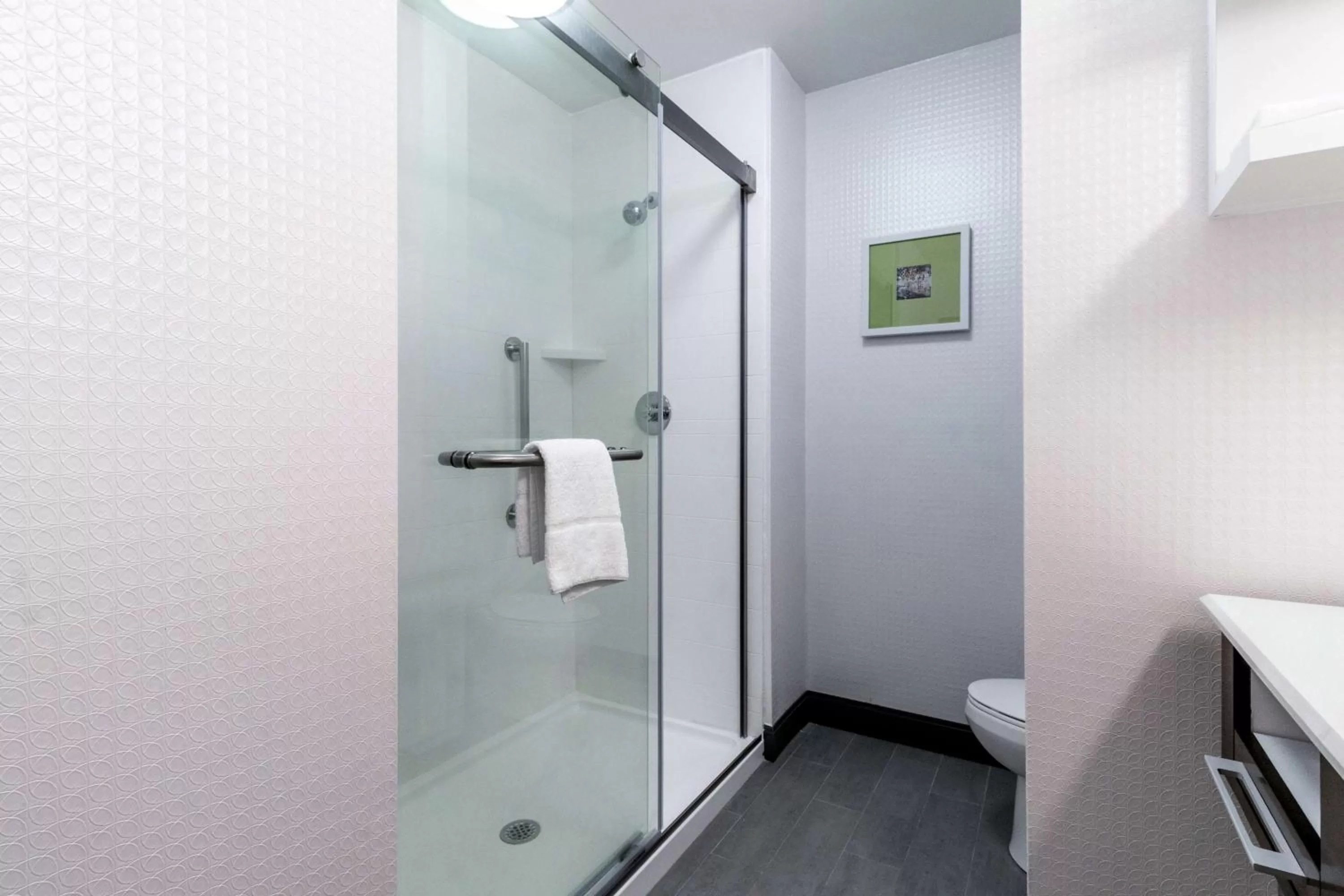 Bathroom in Hampton Inn Locust Grove