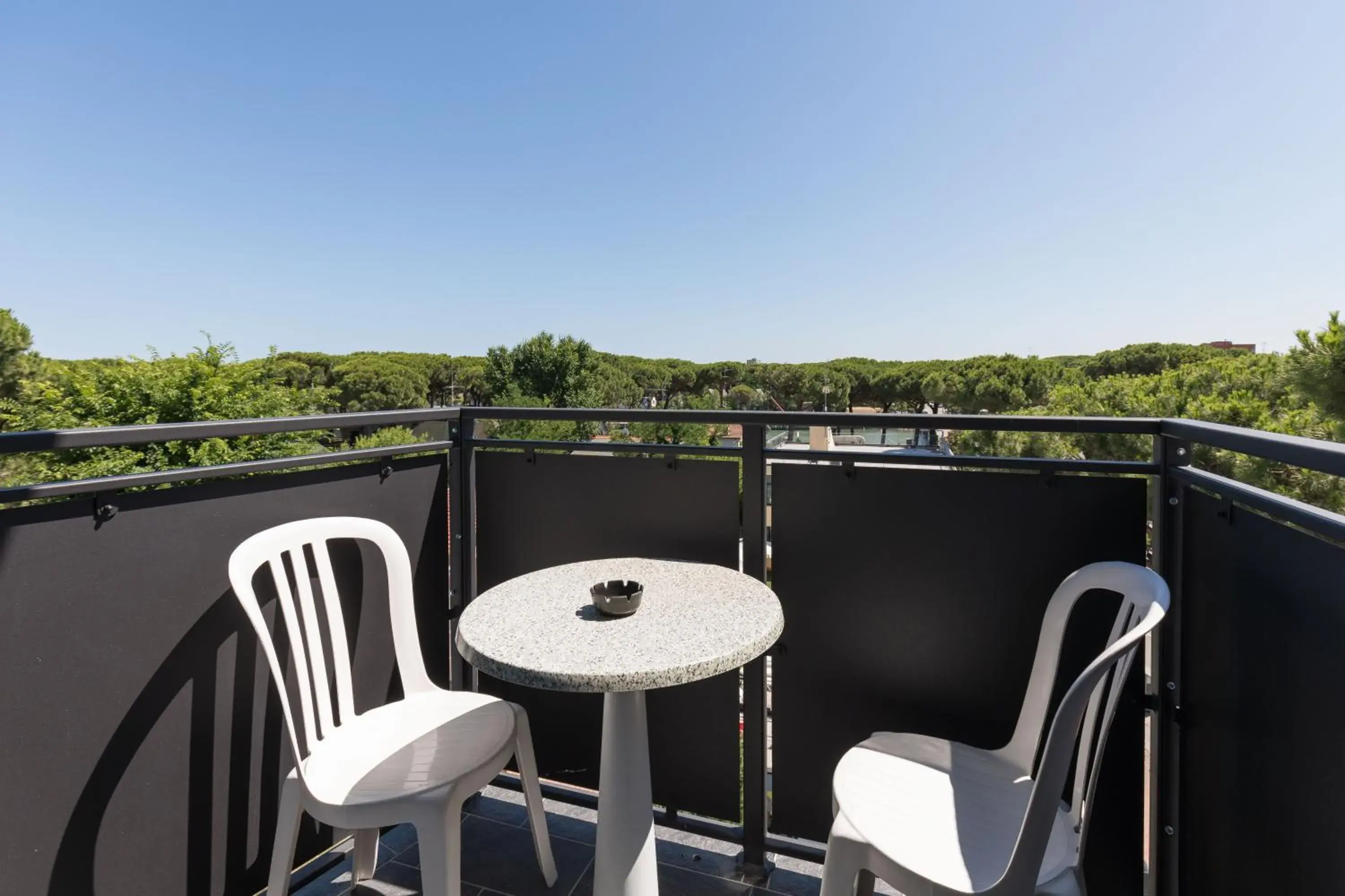 Balcony/Terrace in Hotel Logonovo