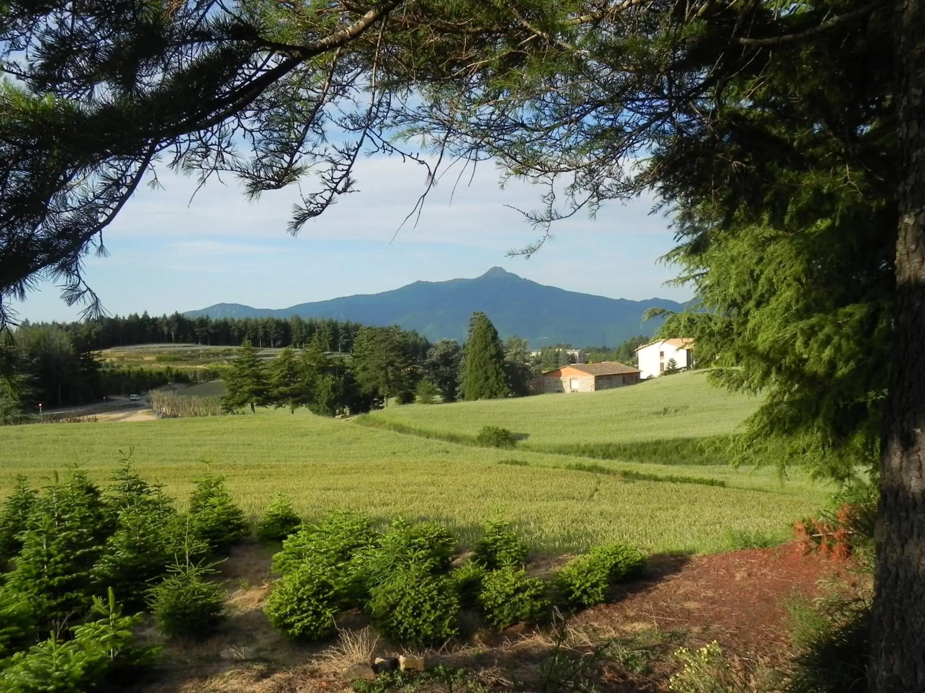 Nearby landmark in Hotel Ripoll