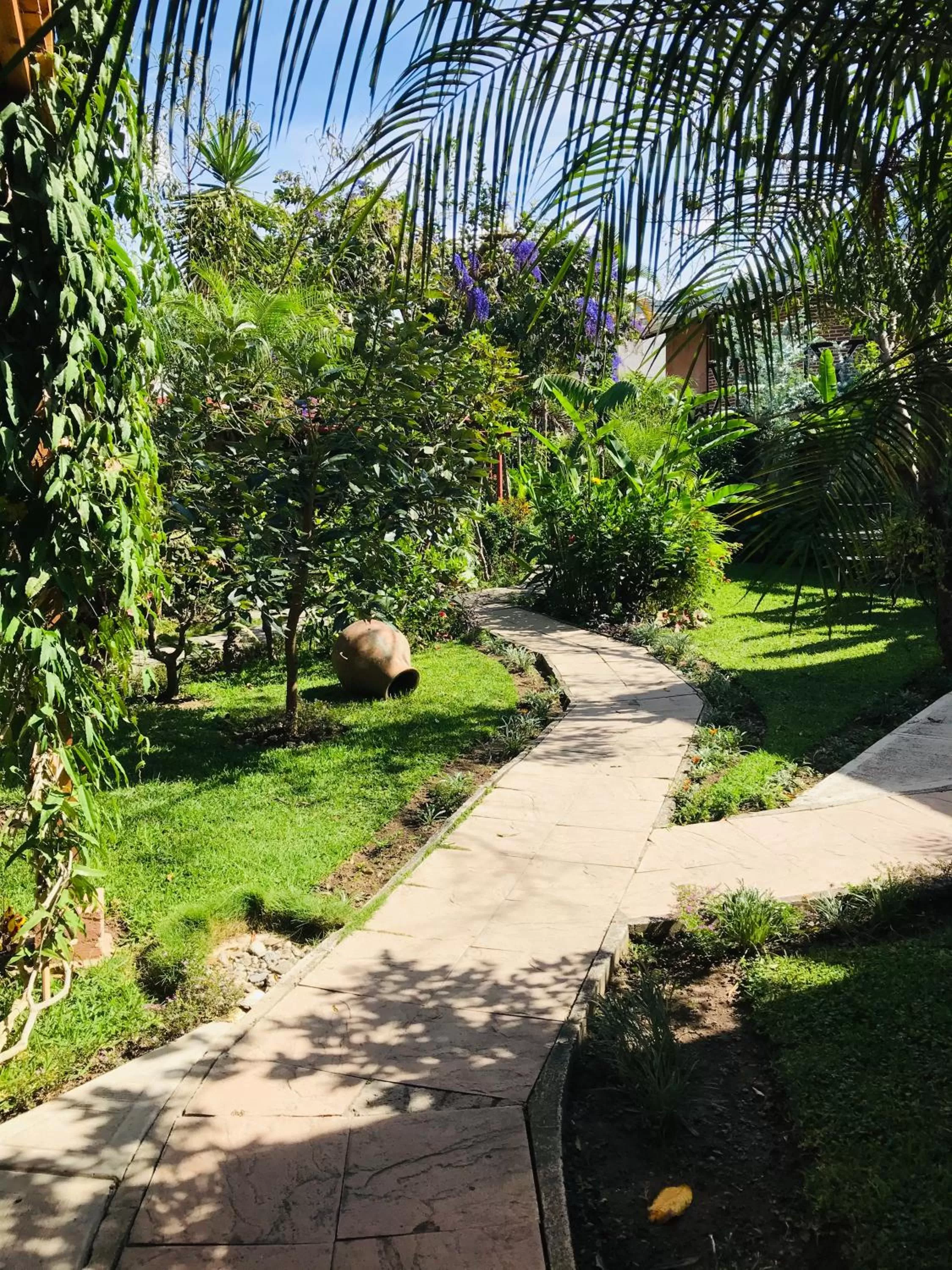 Garden in Hotel Utz Jay