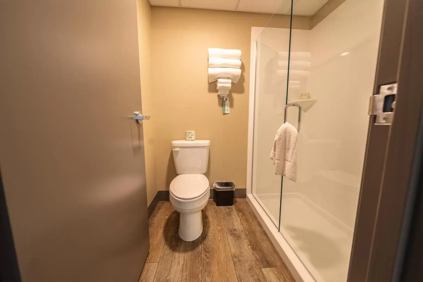 Shower, Bathroom in Cobblestone Inn & Suites - Trenton