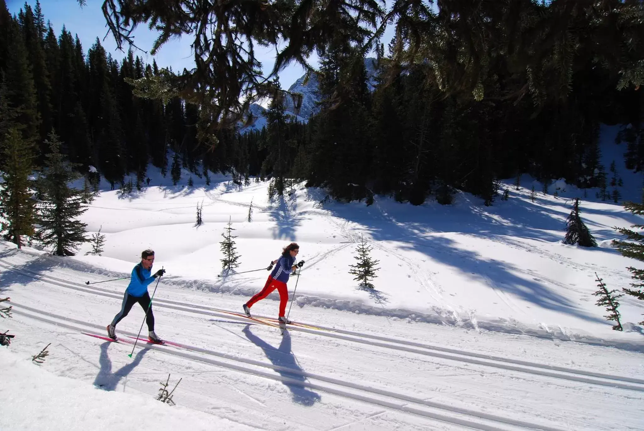 Skiing in Pomeroy Inn and Suites Vermilion