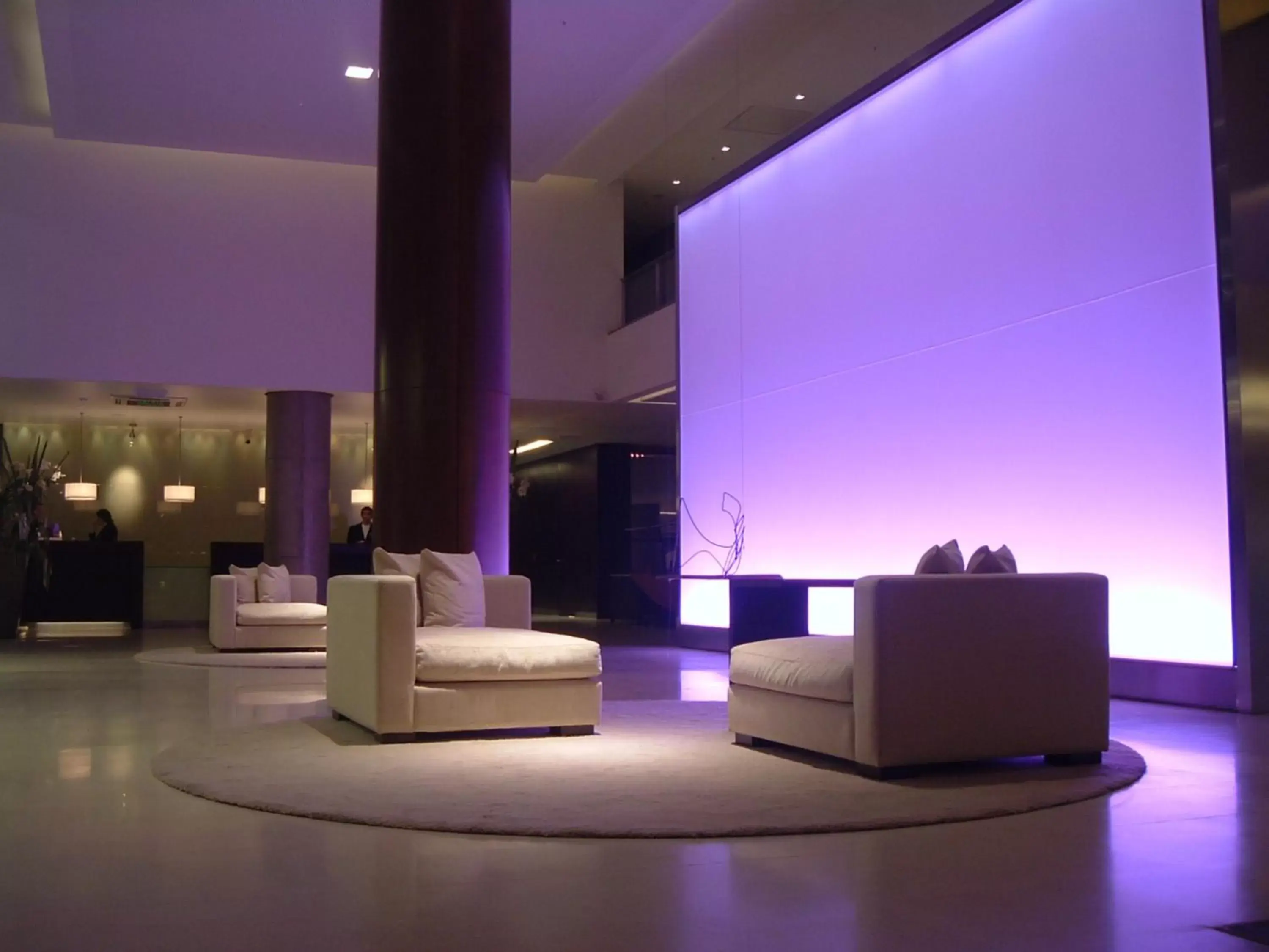 Lobby or reception in Hotel Madero Buenos Aires