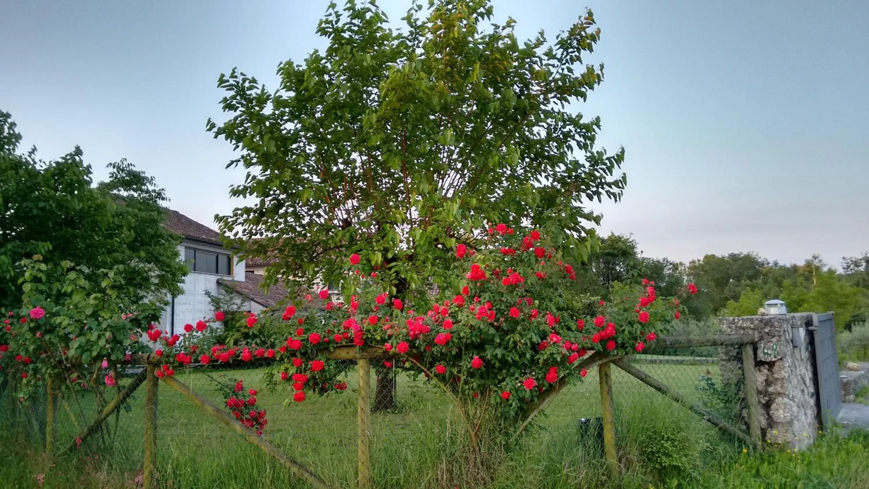 Spring, Property Building in Il giuggiolo