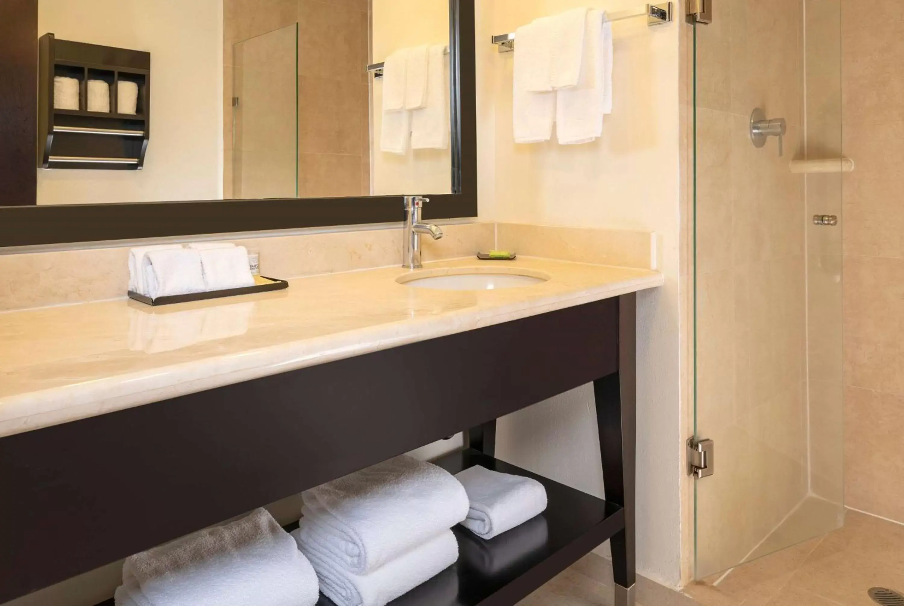 TV and multimedia, Bathroom in La Quinta by Wyndham San Luis Potosi