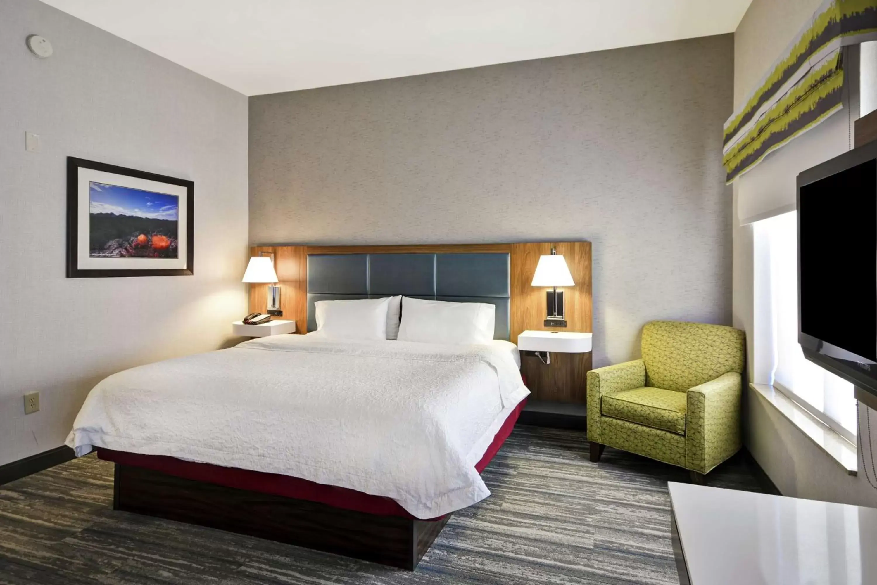 Bedroom, Bed in Hampton Inn & Suites Yuma