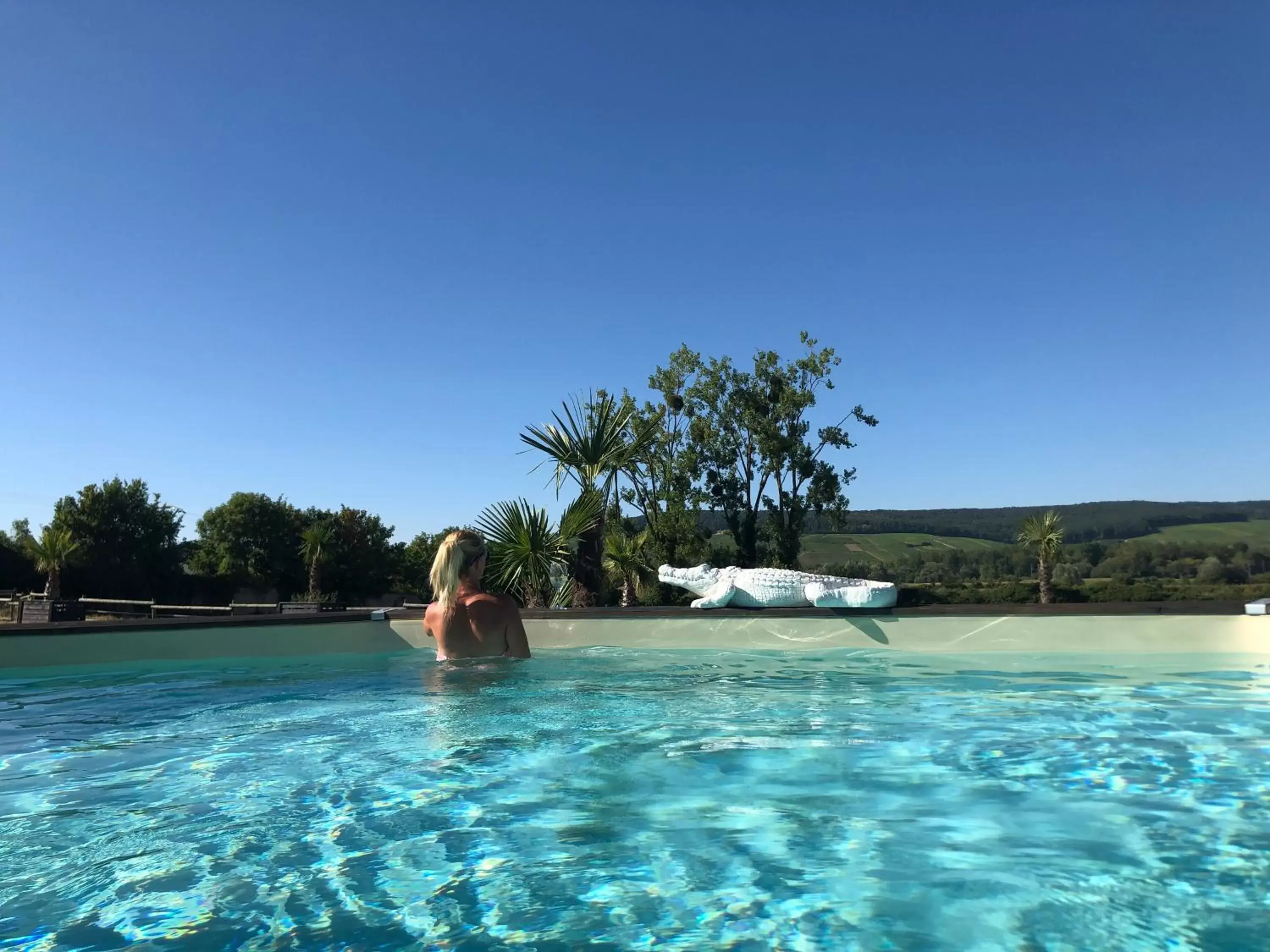 Swimming Pool in CHAMBRES D'HOTES DANS DOMAINE DE CHARME A EPERNAY