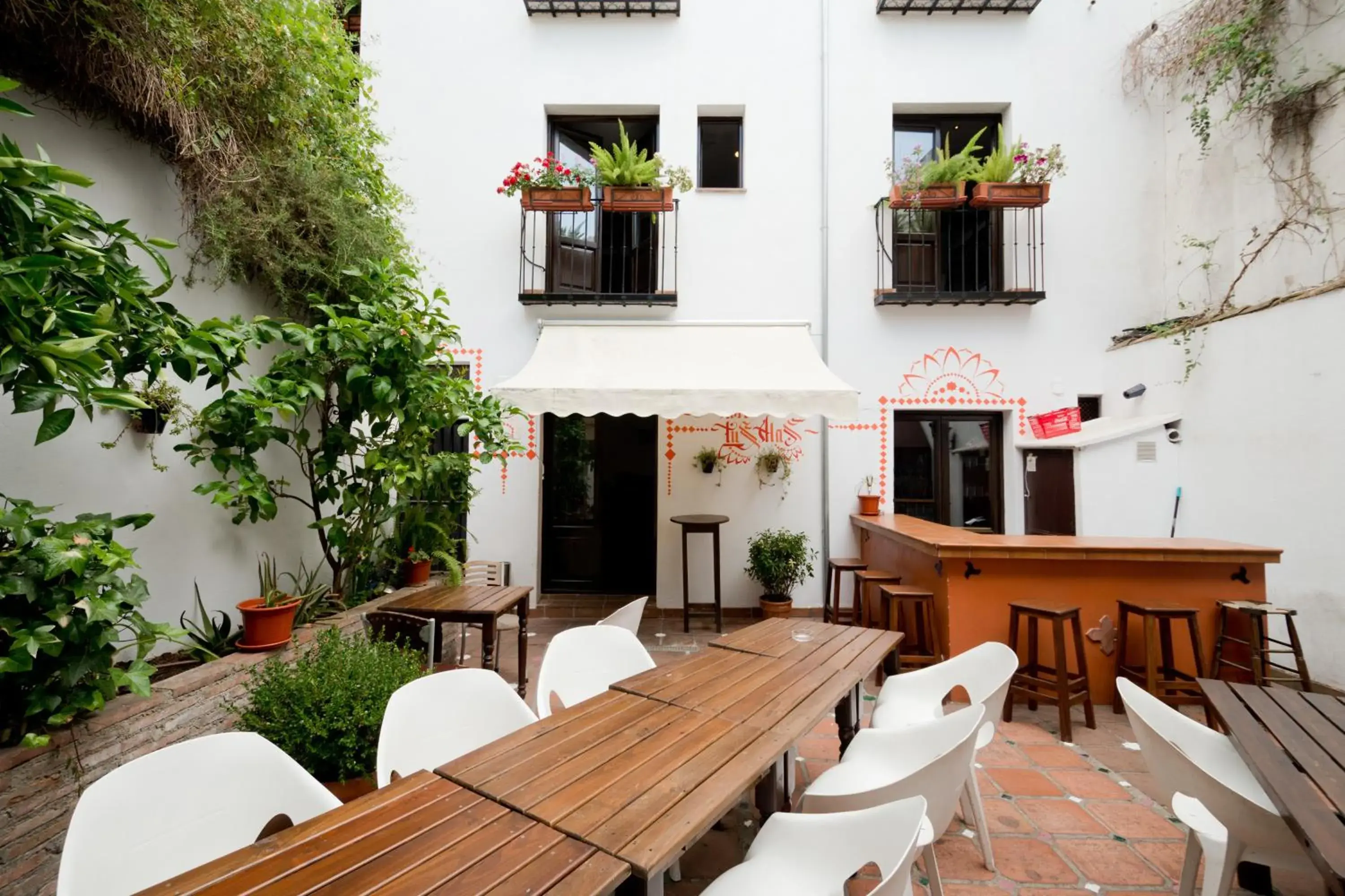 Balcony/Terrace in Oasis Backpackers' Hostel Granada