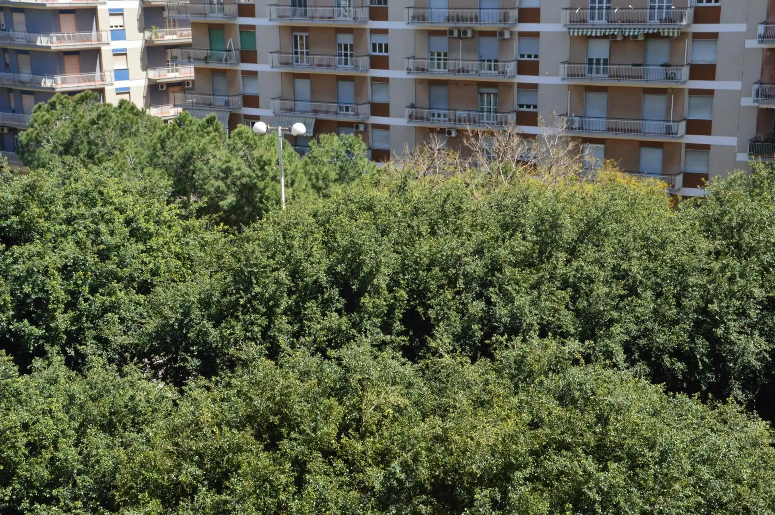 Balcony/Terrace, Property Building in Michelangelo BB Rooms