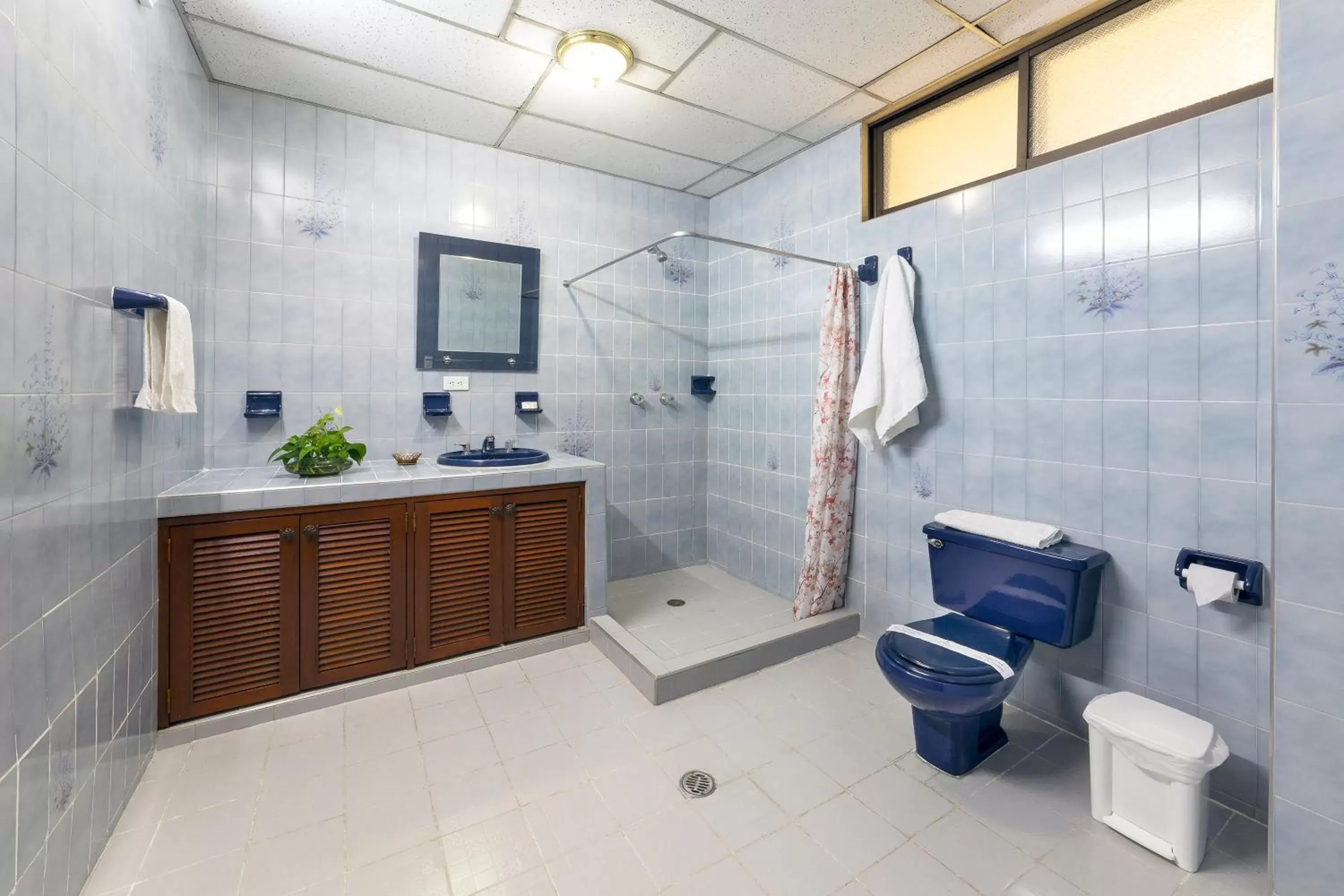 Shower, Bathroom in Hotel Stein Colonial