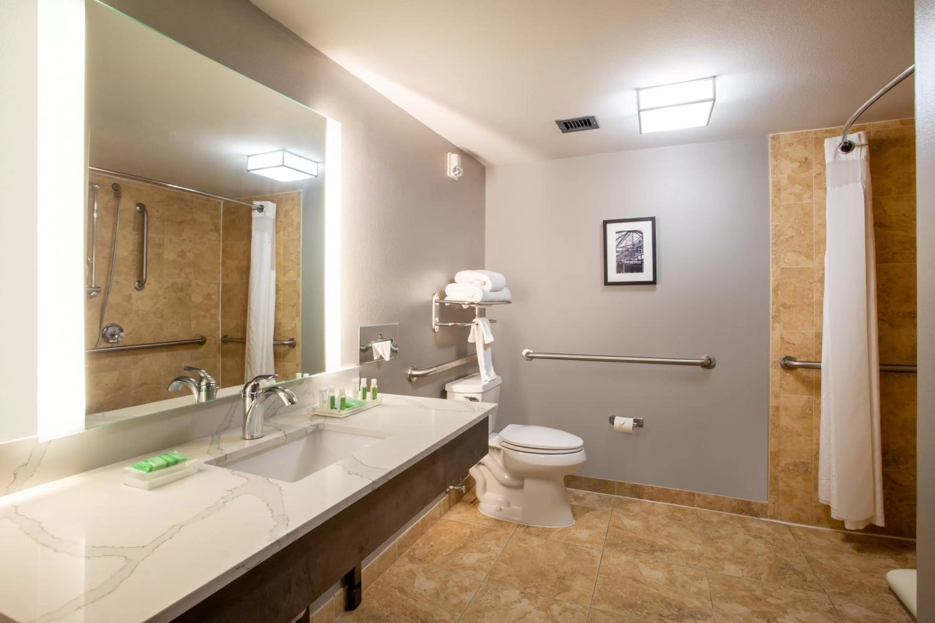 Bathroom in Holiday Inn Valdosta Conference Center by IHG