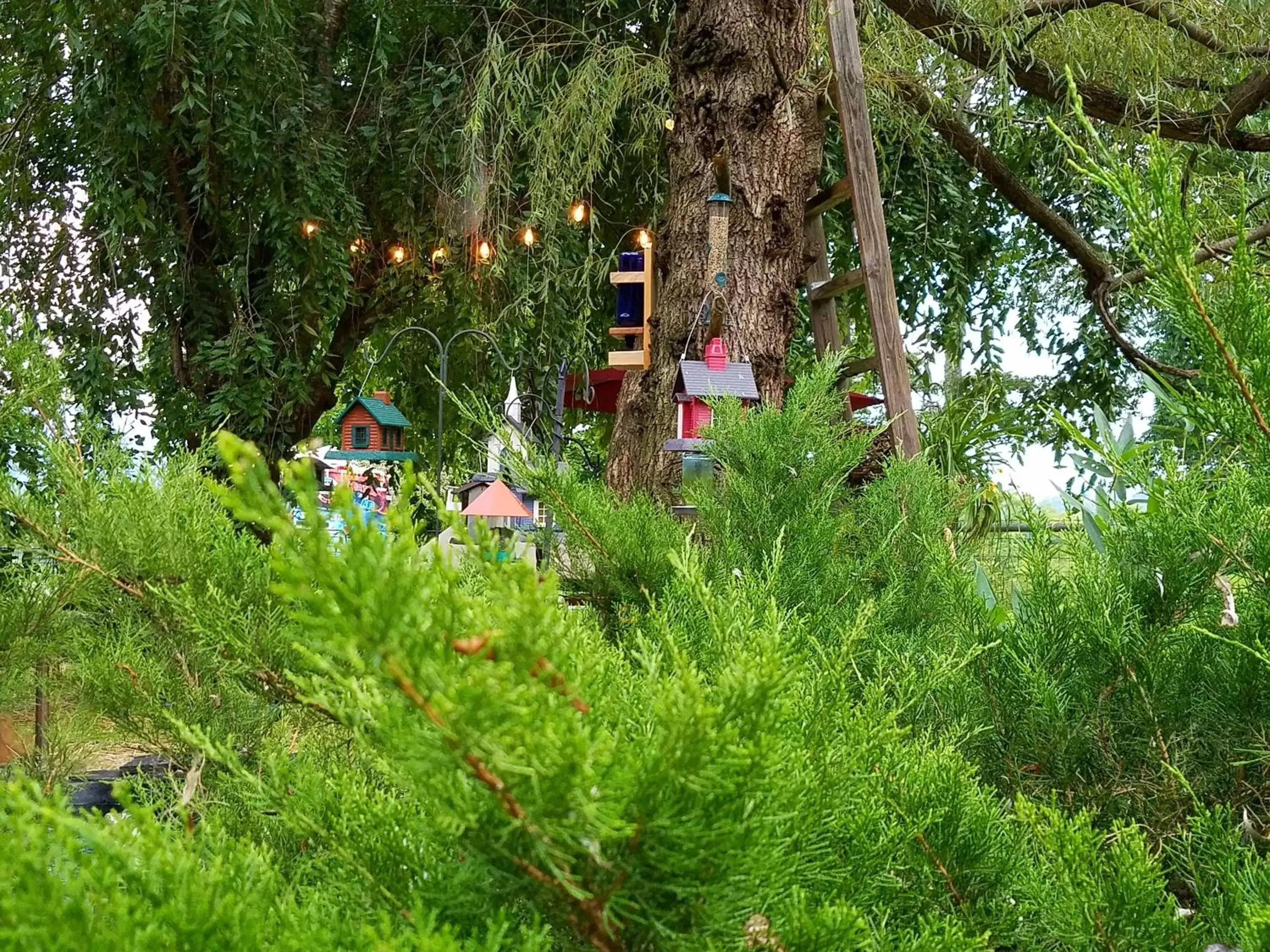 Blue Ridge Manor Bed and Breakfast Blue Ridge Manor Bed and Breakfast