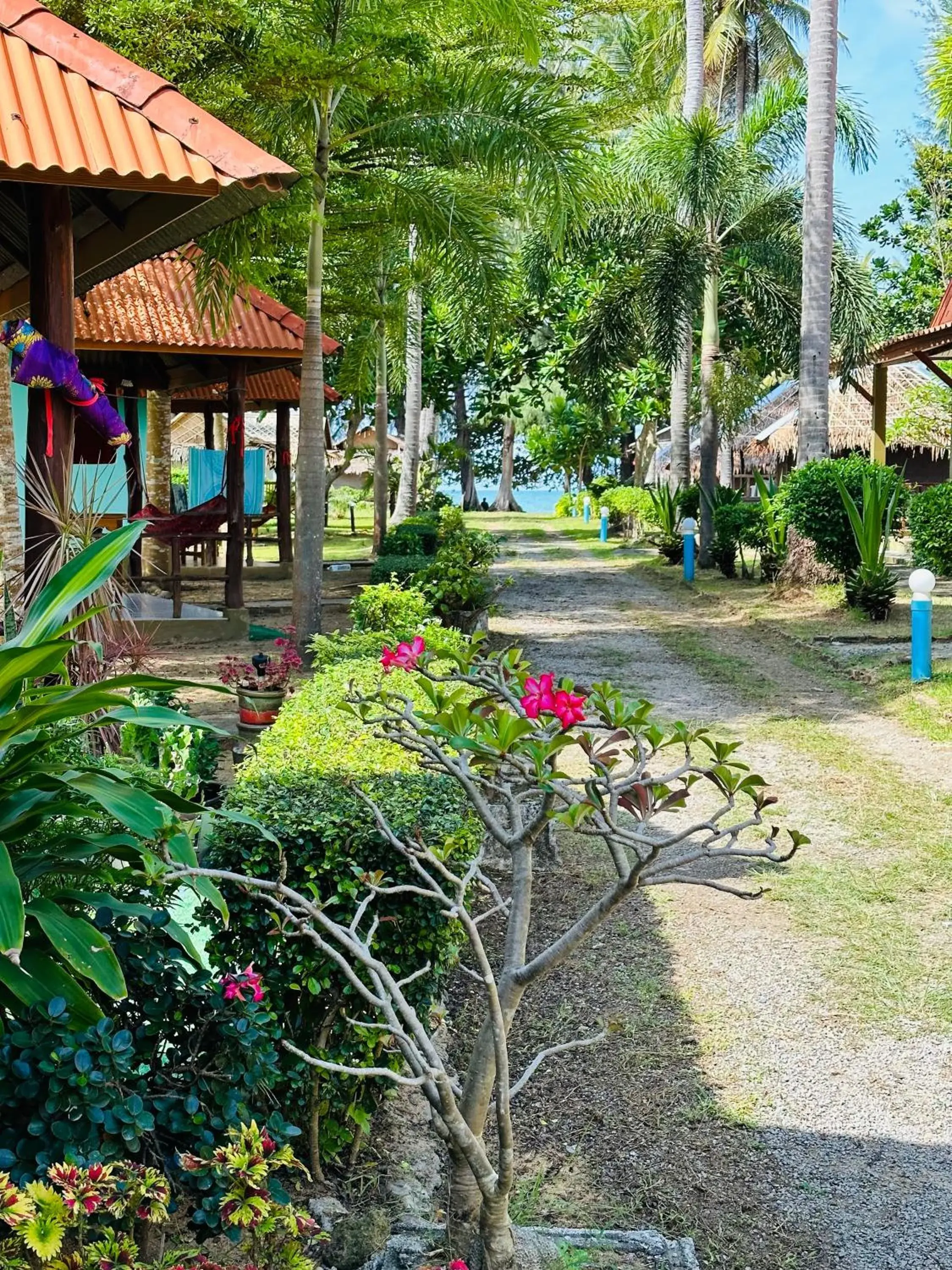 Property building, Garden in Lanta L.D. Beach Bungalow