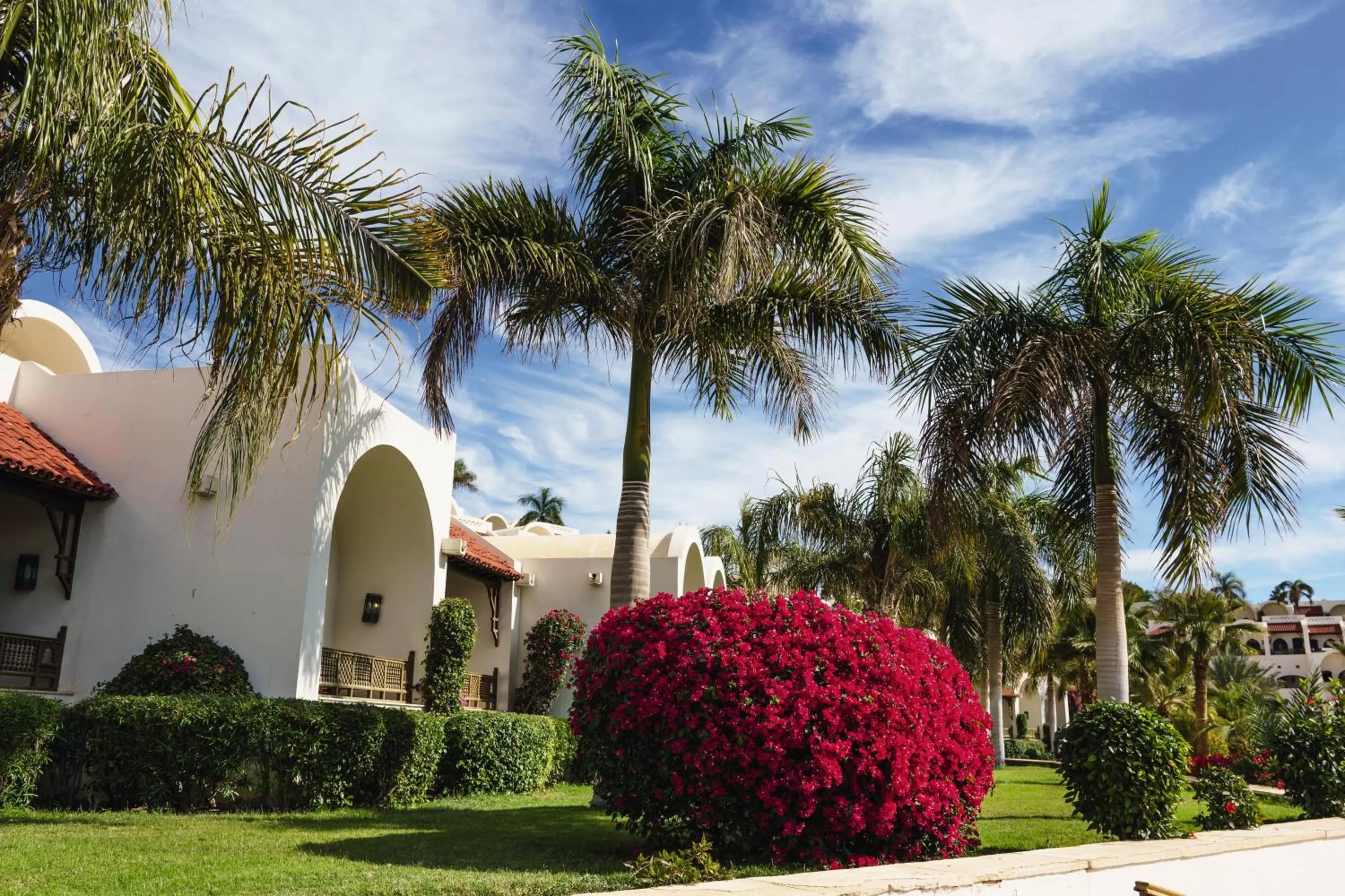 Garden, Property Building in Movenpick Resort Sharm El Sheikh