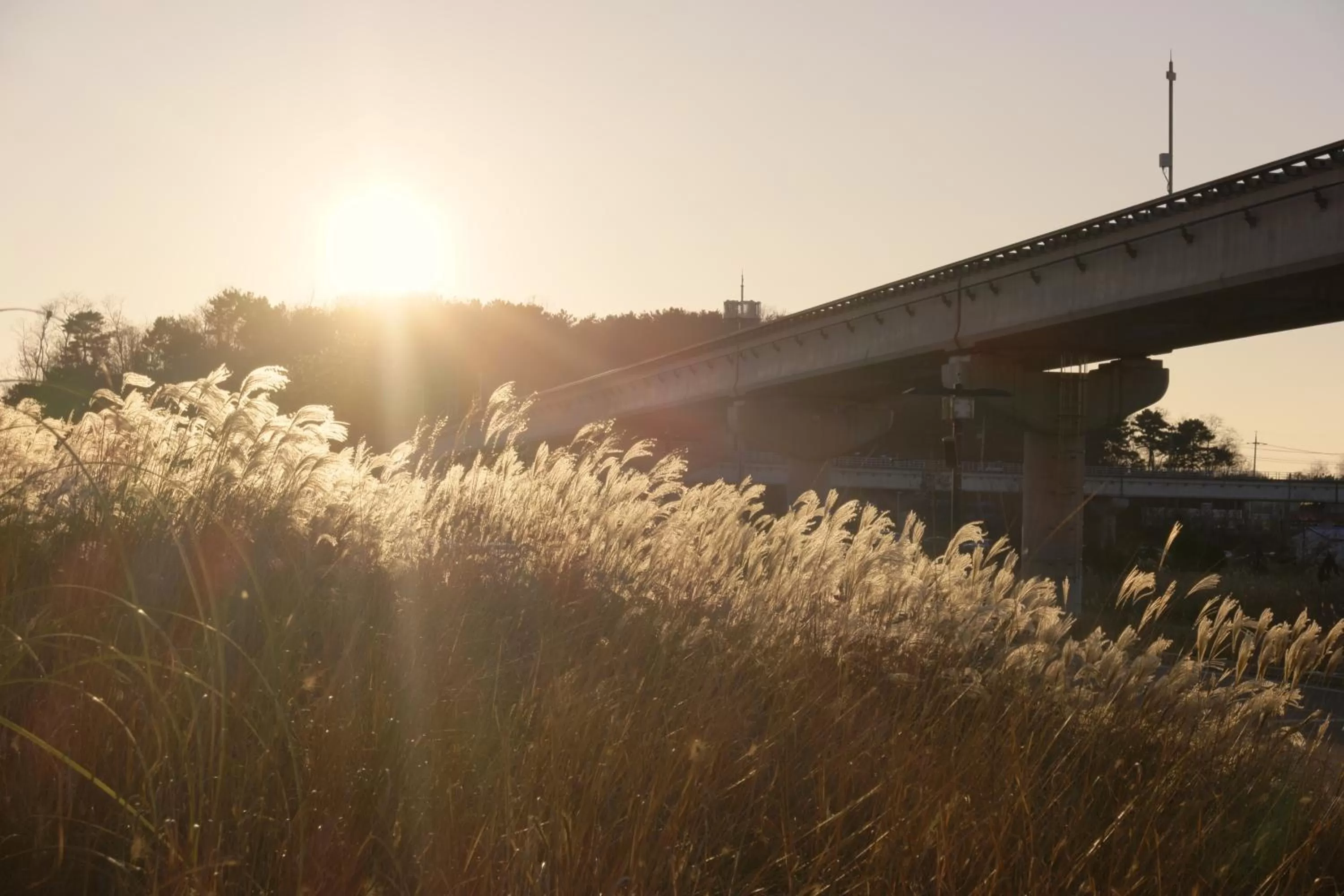 Other in Nest Hotel Incheon