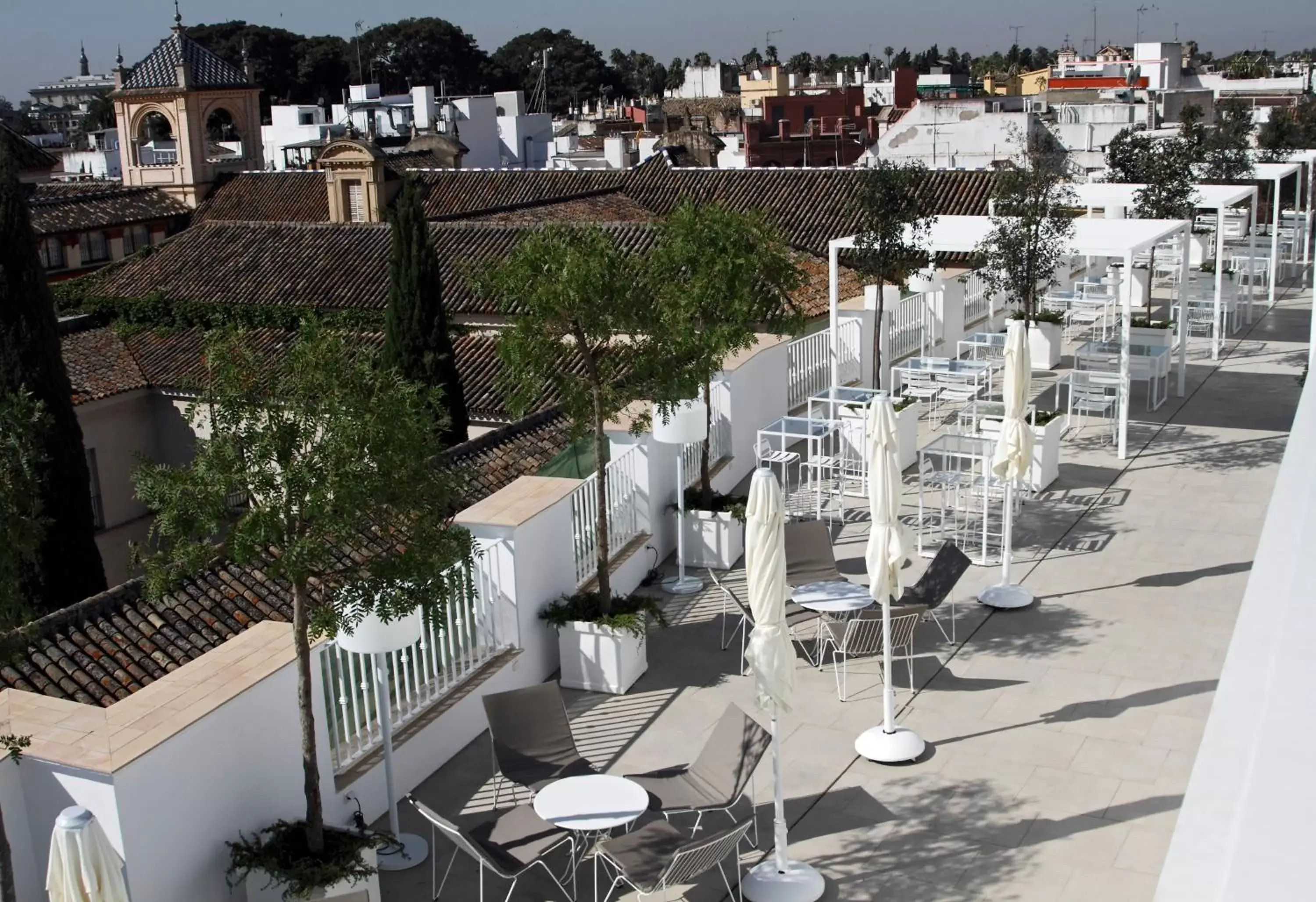 Garden, Restaurant/Places to Eat in Hotel Fernando III