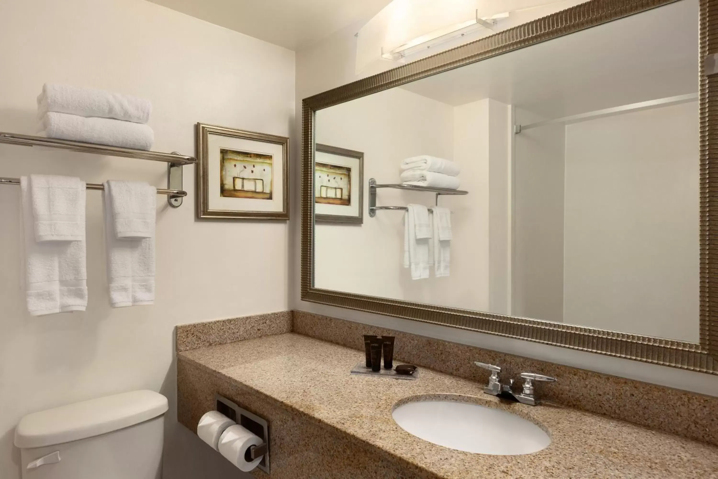 Bathroom in Wingate By Wyndham Montgomery