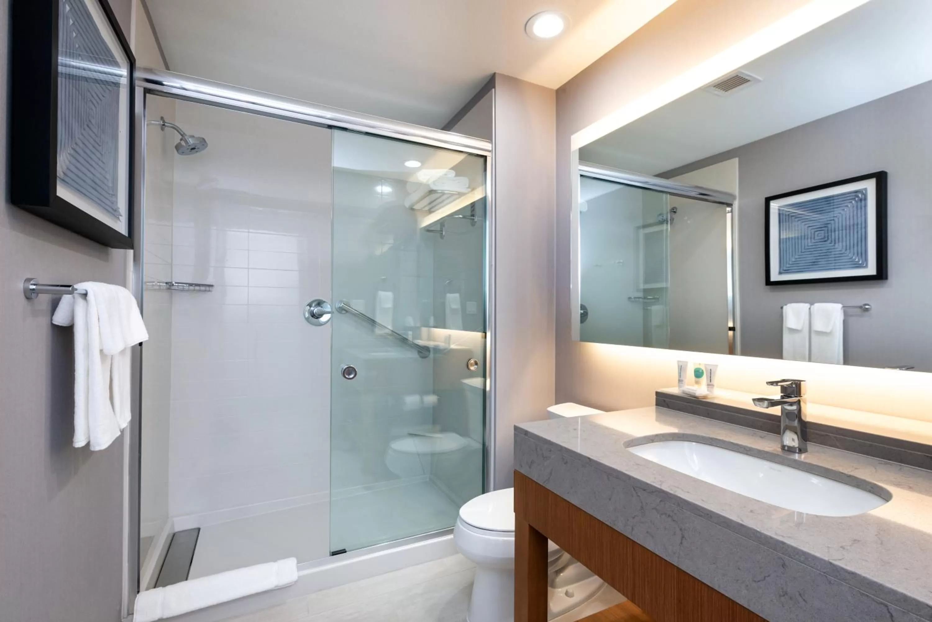 Bathroom in Hyatt Place Dallas/Rockwall