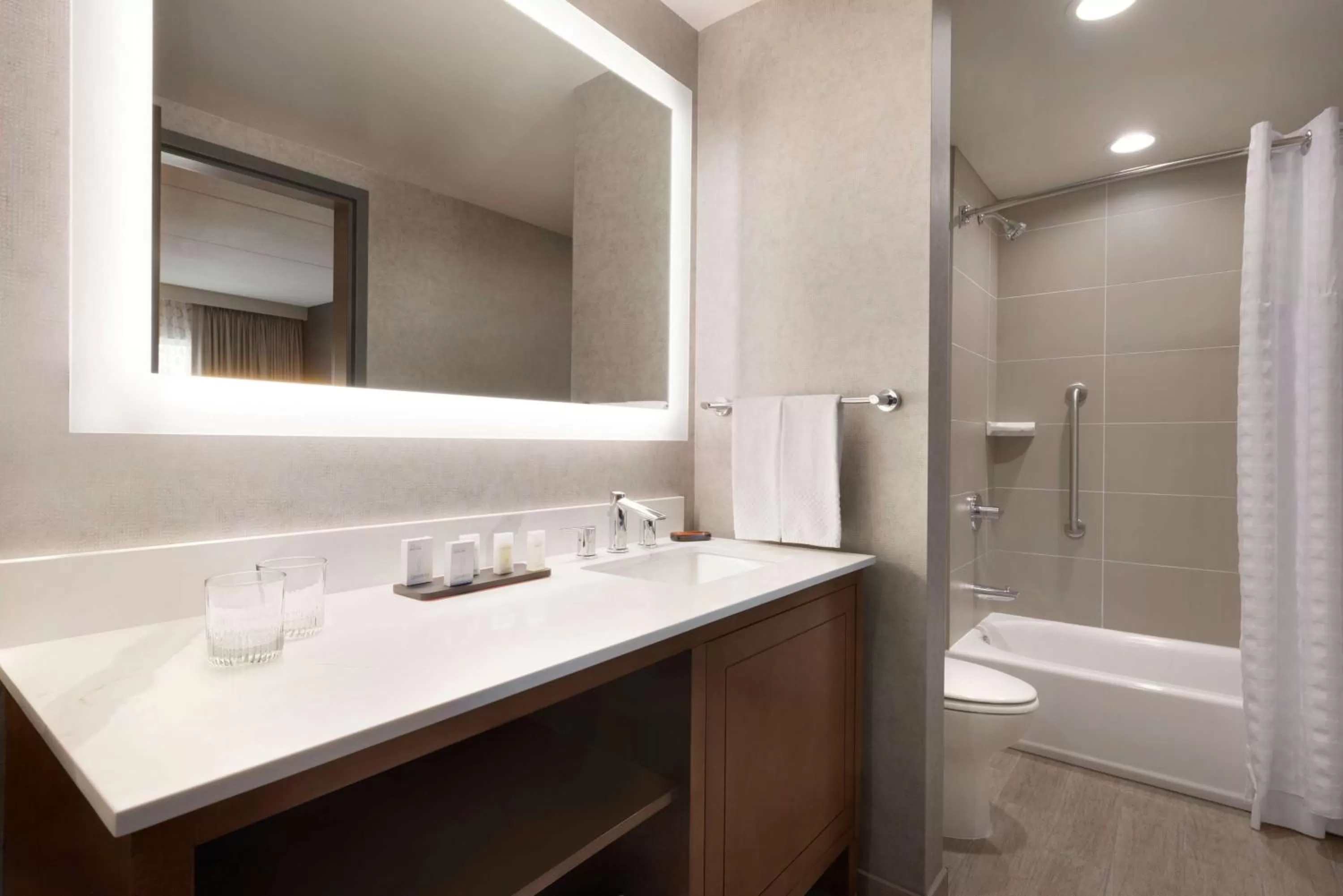 Bathroom in Embassy Suites by Hilton Chicago Naperville