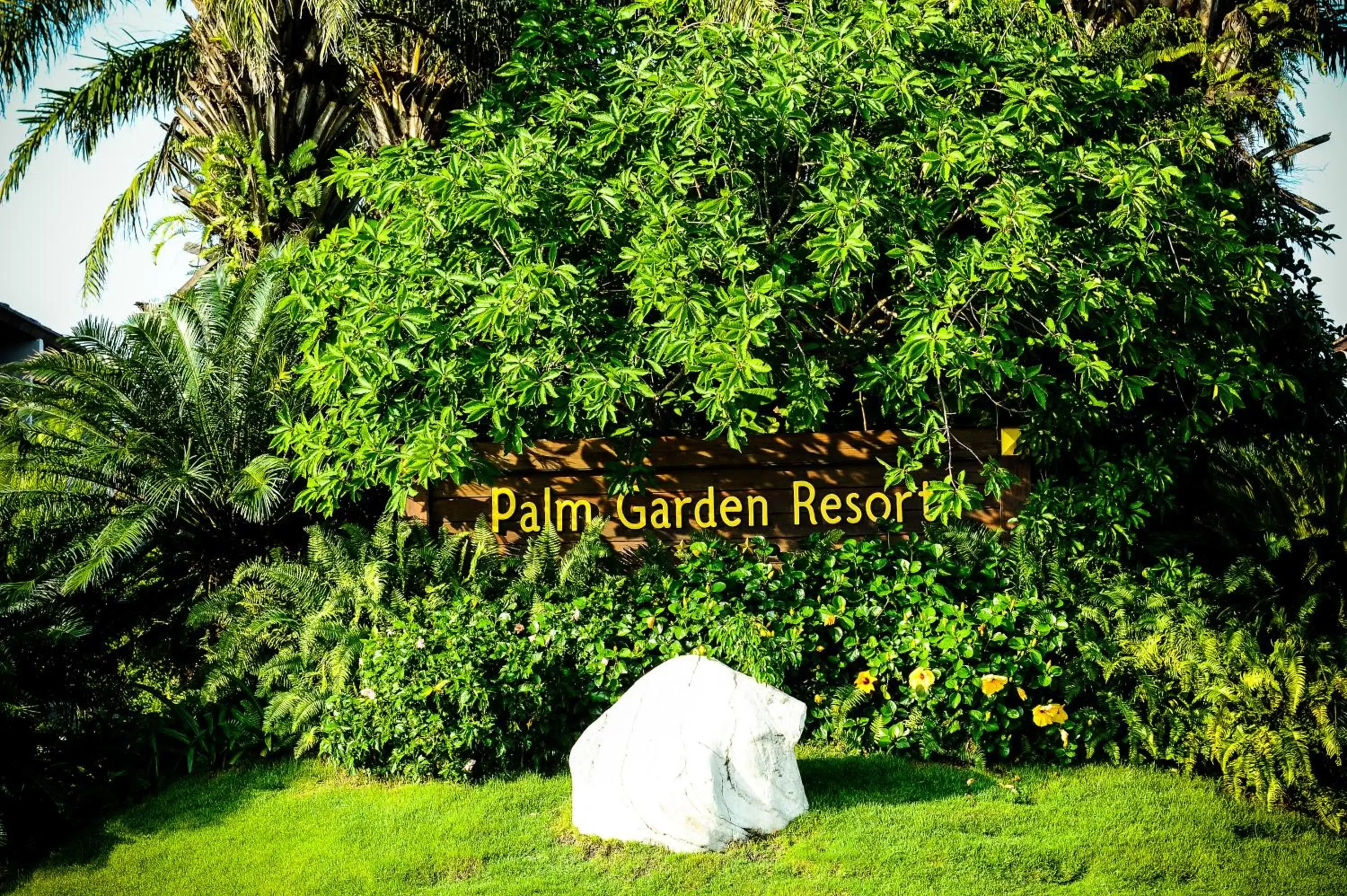 Natural landscape, Garden in Palm Garden Beach Resort & Spa