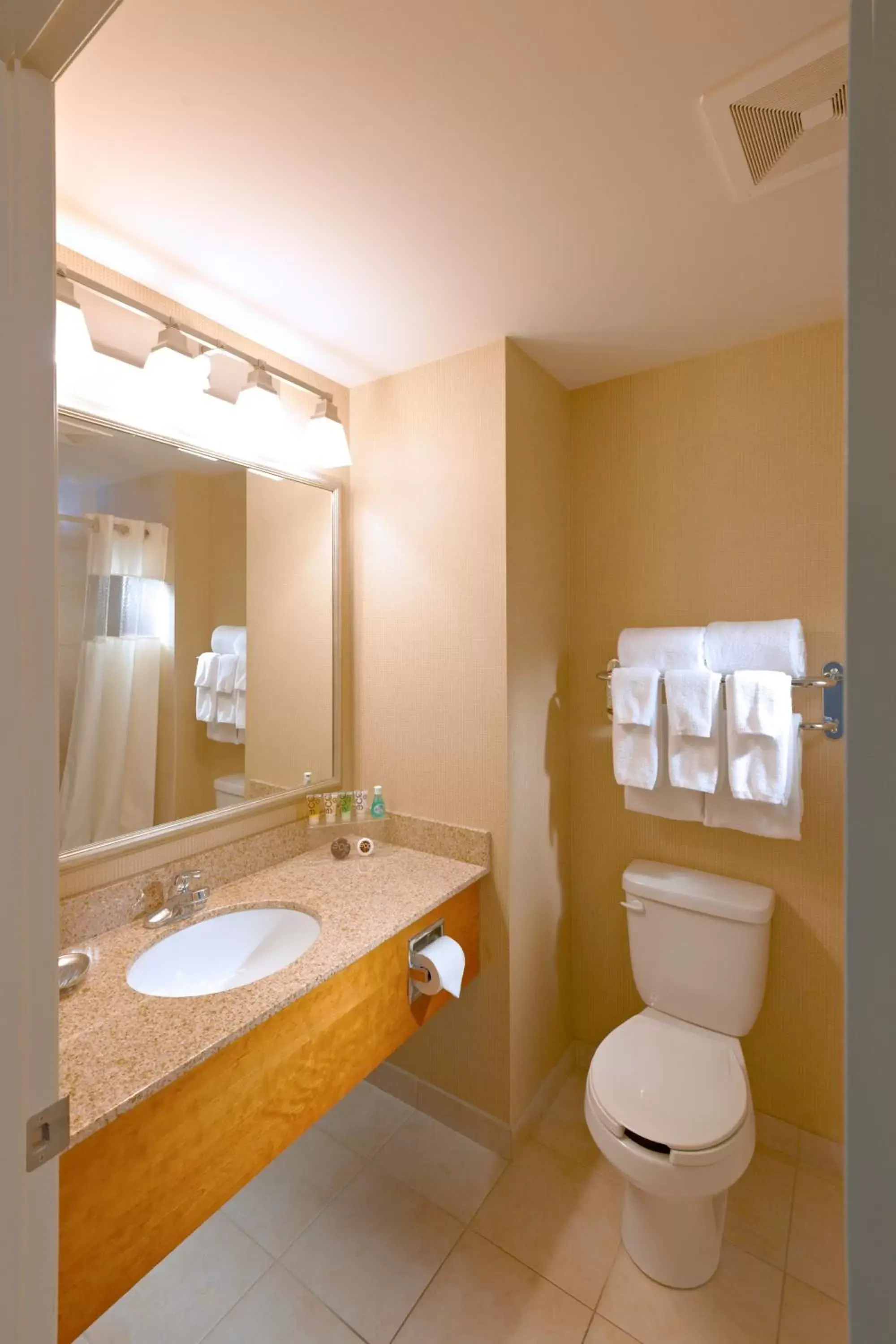 Bathroom in Deerfoot Inn and Casino Bathroom in Deerfoot Inn and Casino