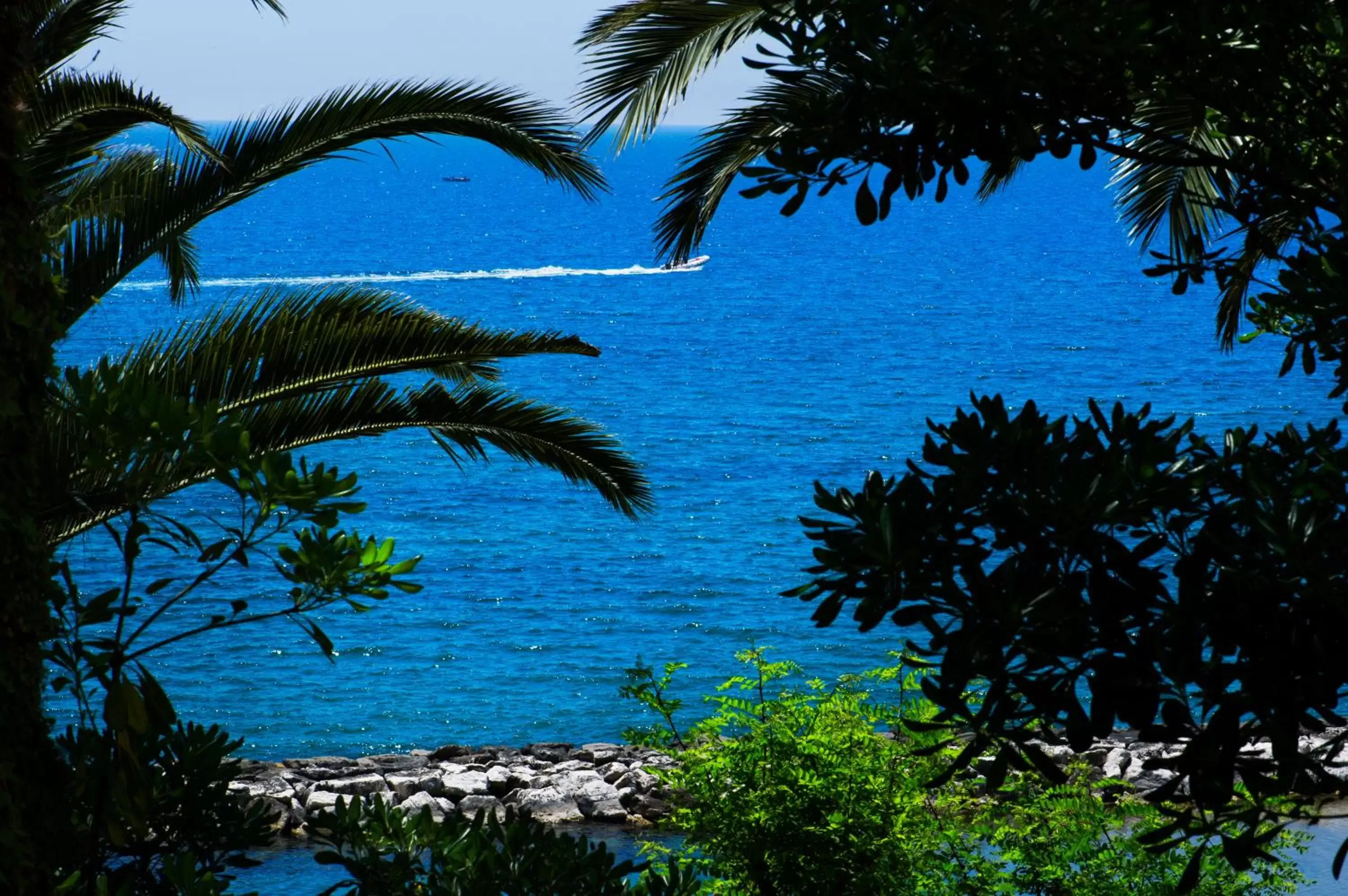 Beach, Sea View in Grande Albergo Miramare