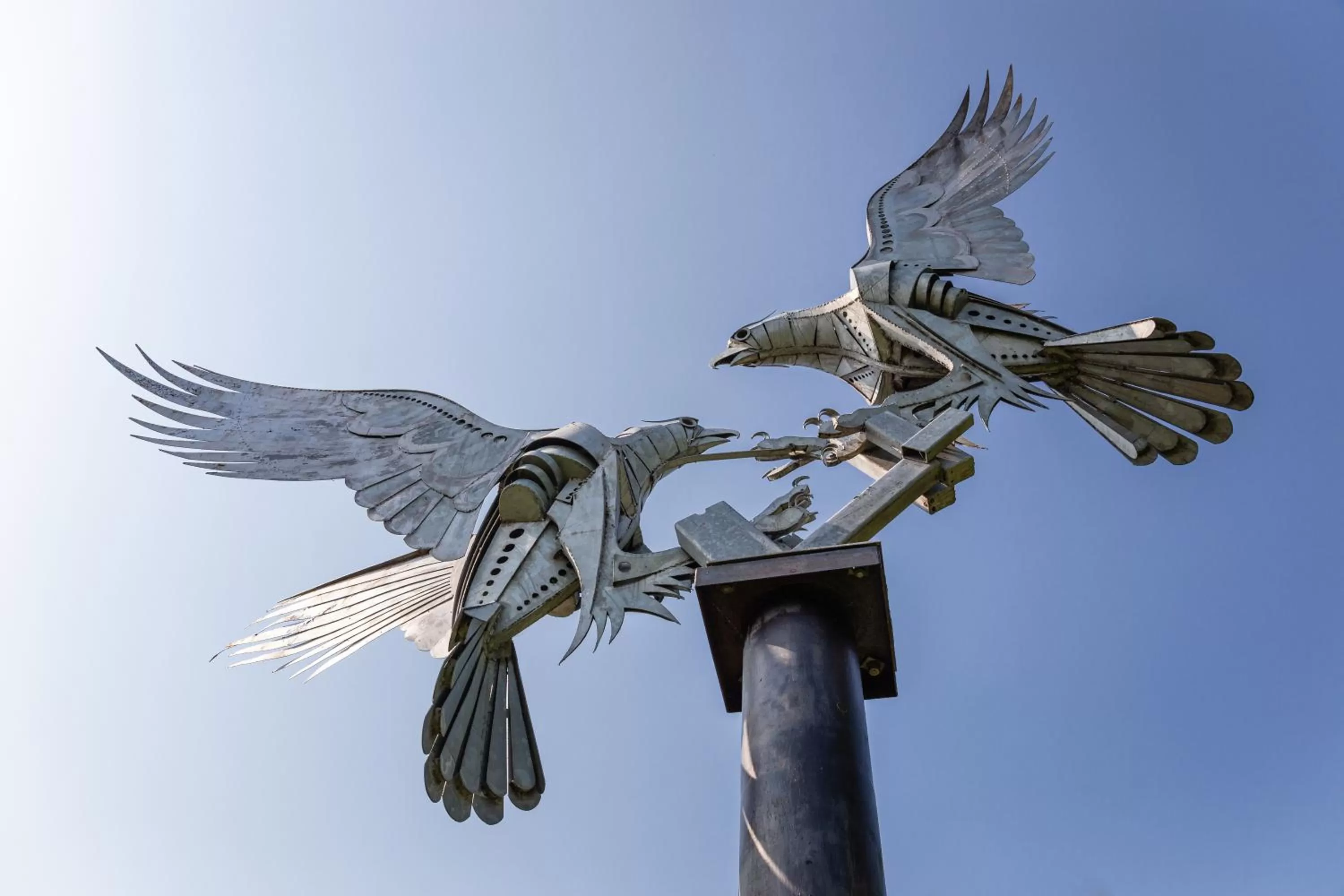 Natural landscape in Mount Pleasant Hotel