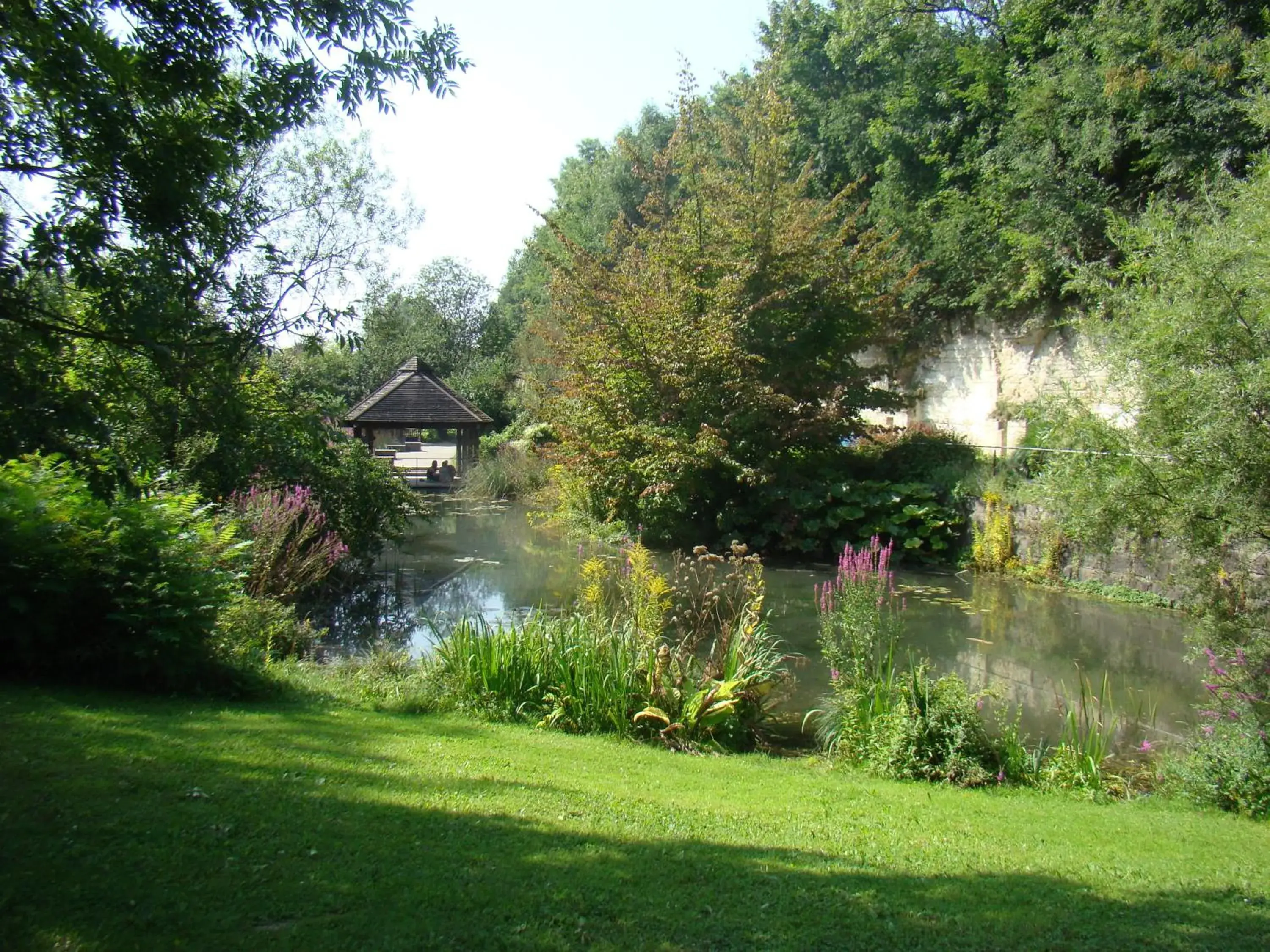 Natural landscape, Garden in enso Hotel