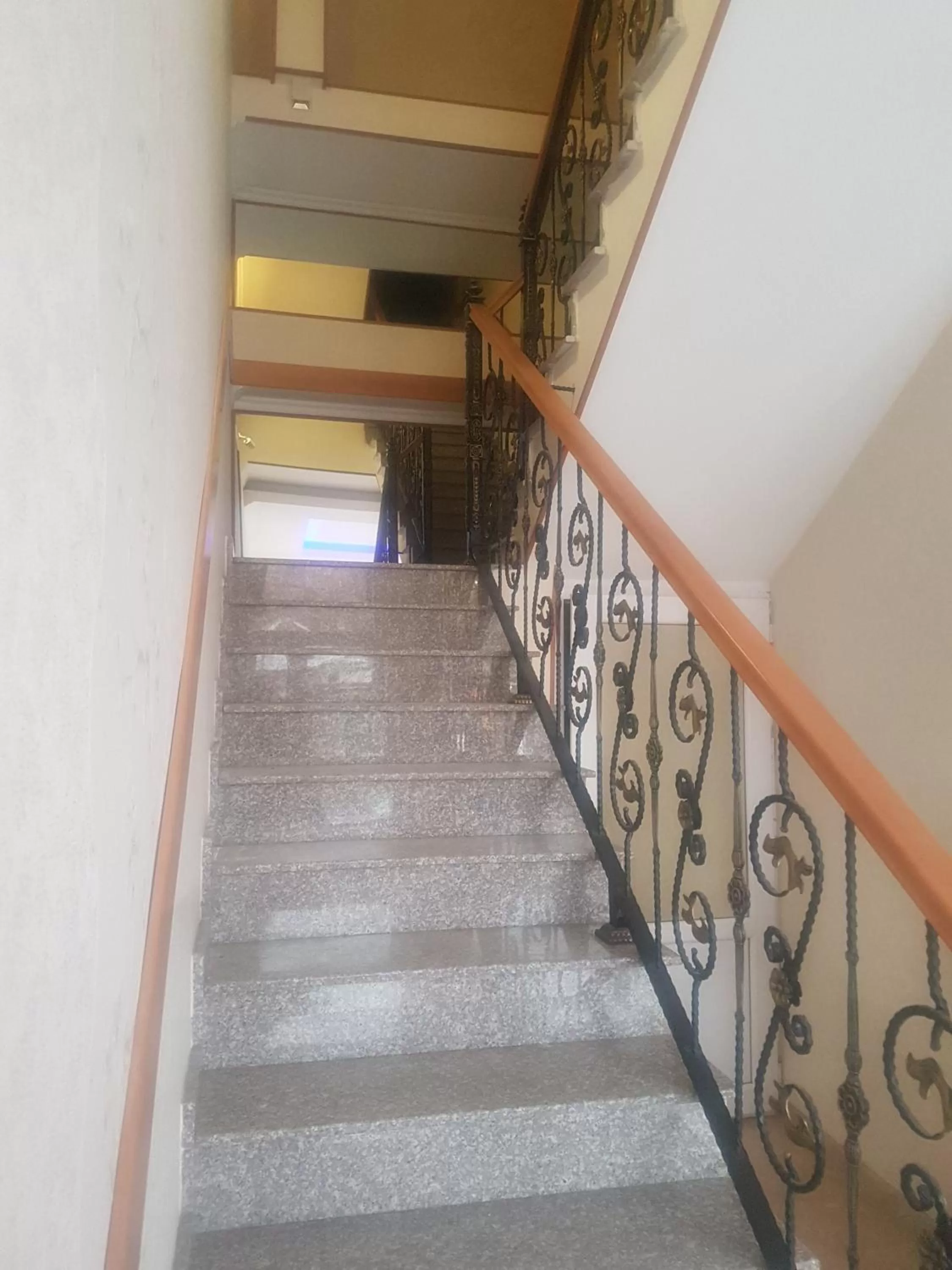 Balcony/Terrace in Hotel LEADER