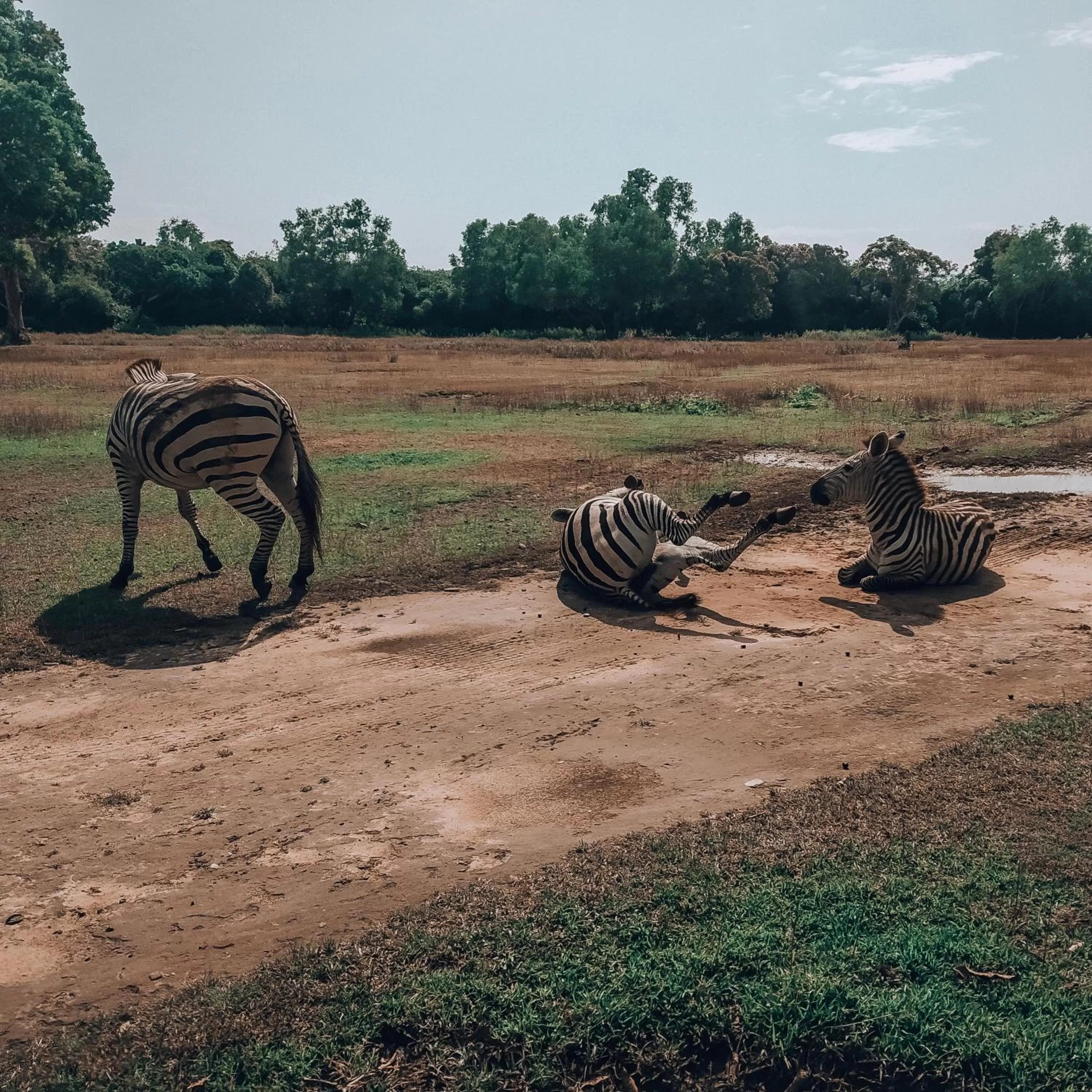 Off site in Cocovana Beach Resort