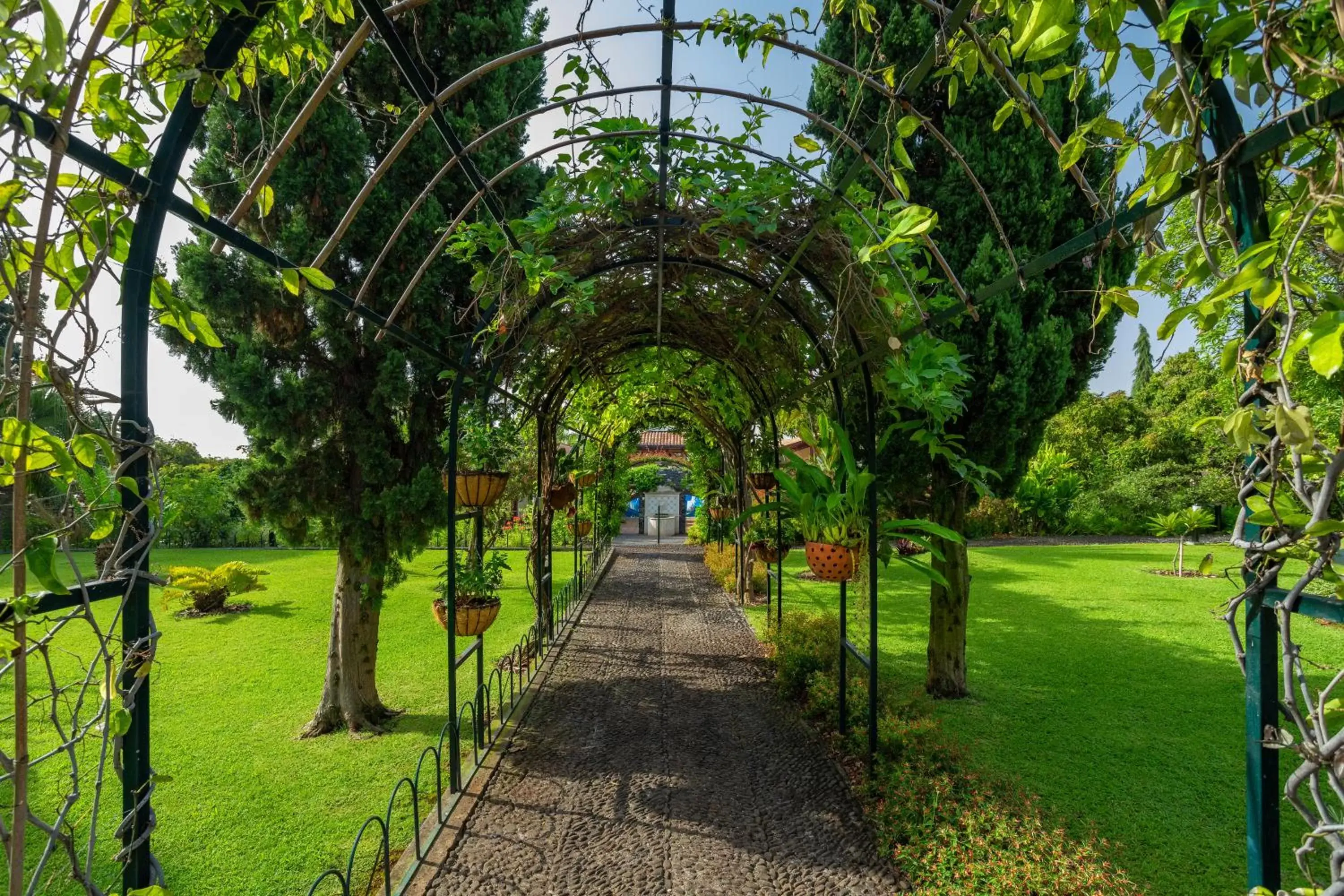 Garden in Quinta Jardins do Lago