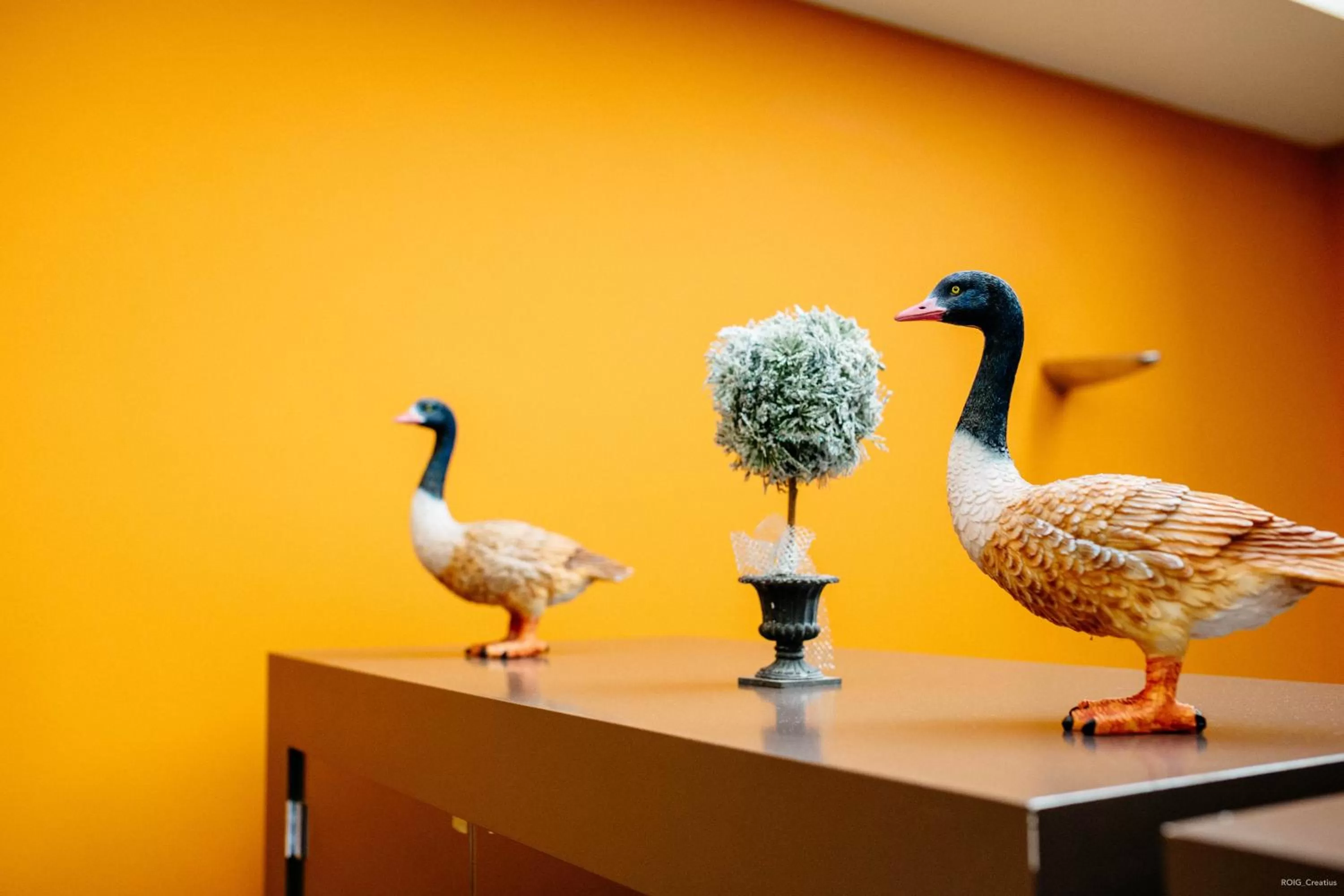 Restaurant/places to eat in Hotel Can Batiste