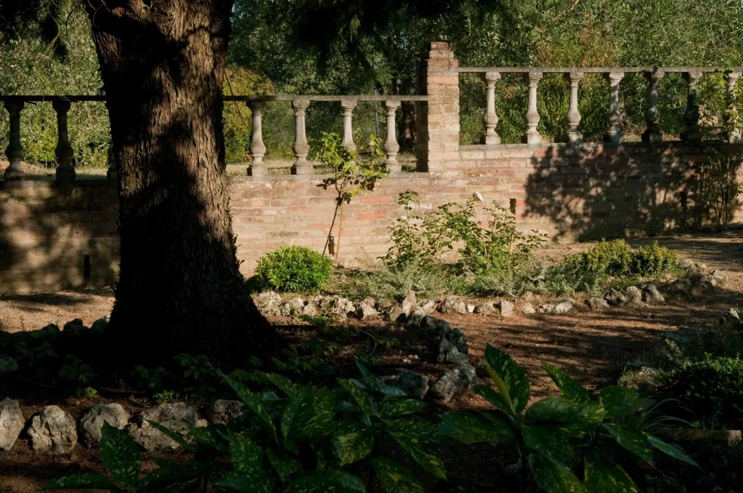 Garden in Hotel Palazzo di Valli