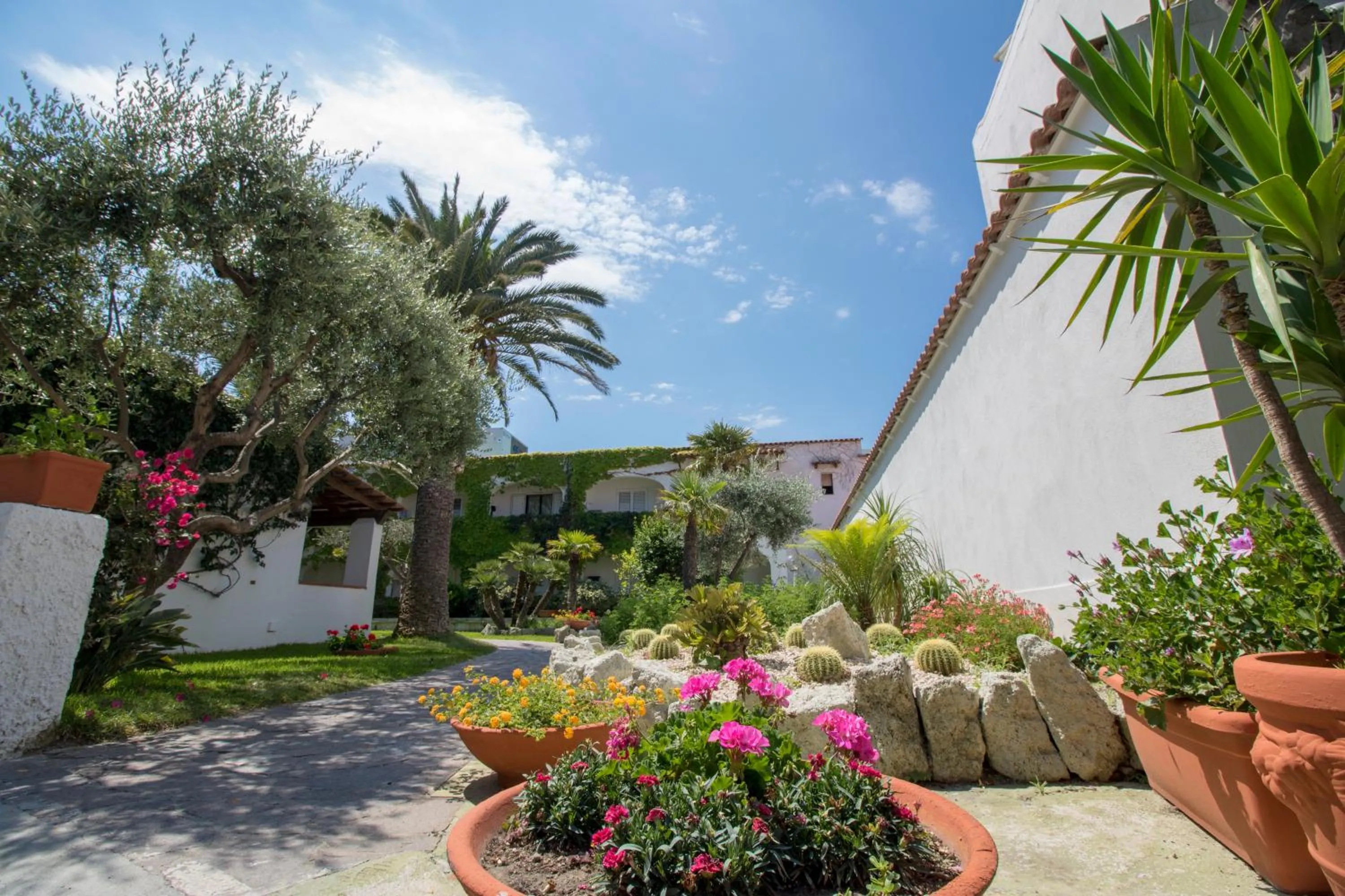 Garden in Hotel Terme Royal Palm